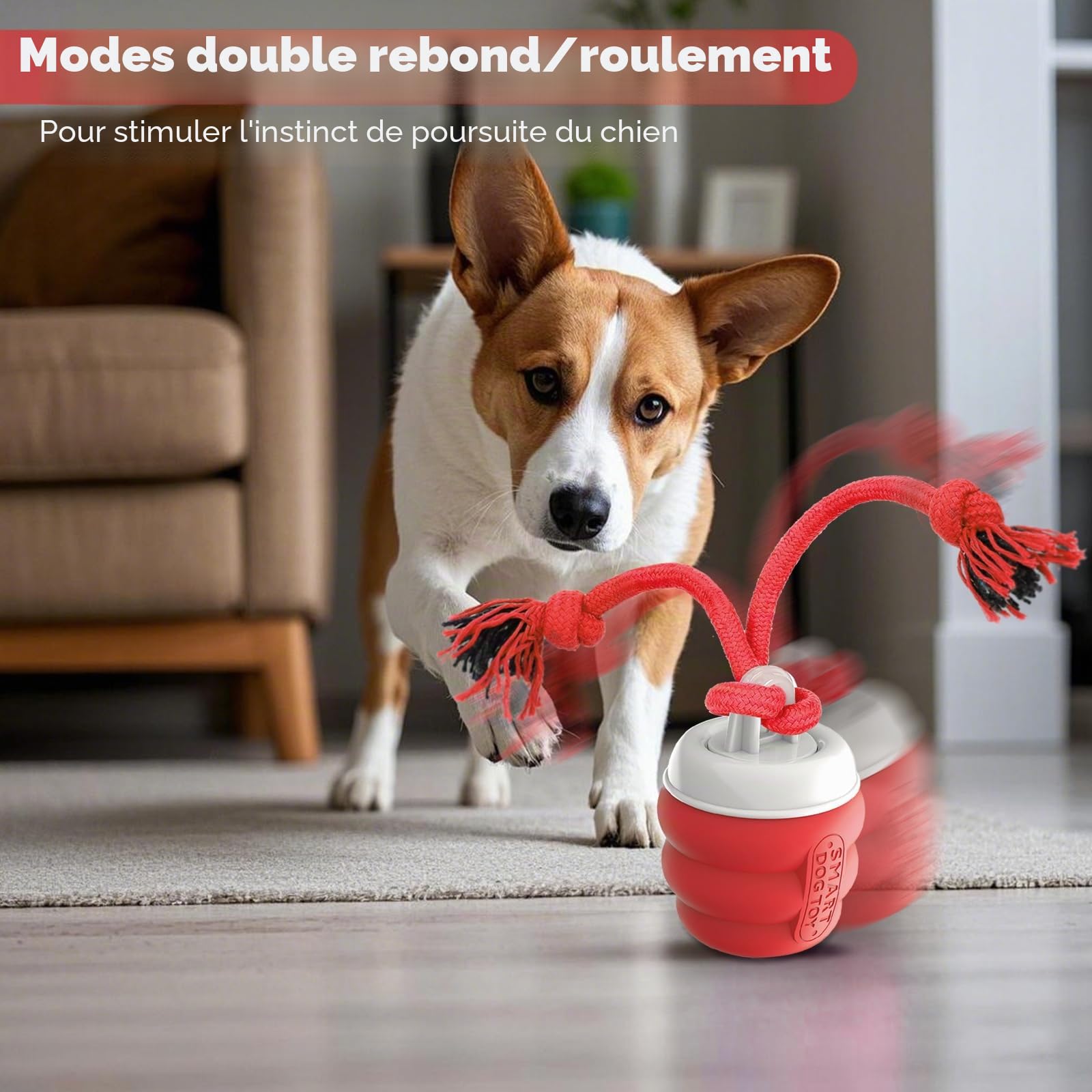 Balle Interactive Chien – Jouet Interactif Balle Chien Rechargeable USB, Balle pour Chien avec Corde à Mâcher, Balle Chien Qui Bouge Toute Seule pour Chiens de Petite, Moyens