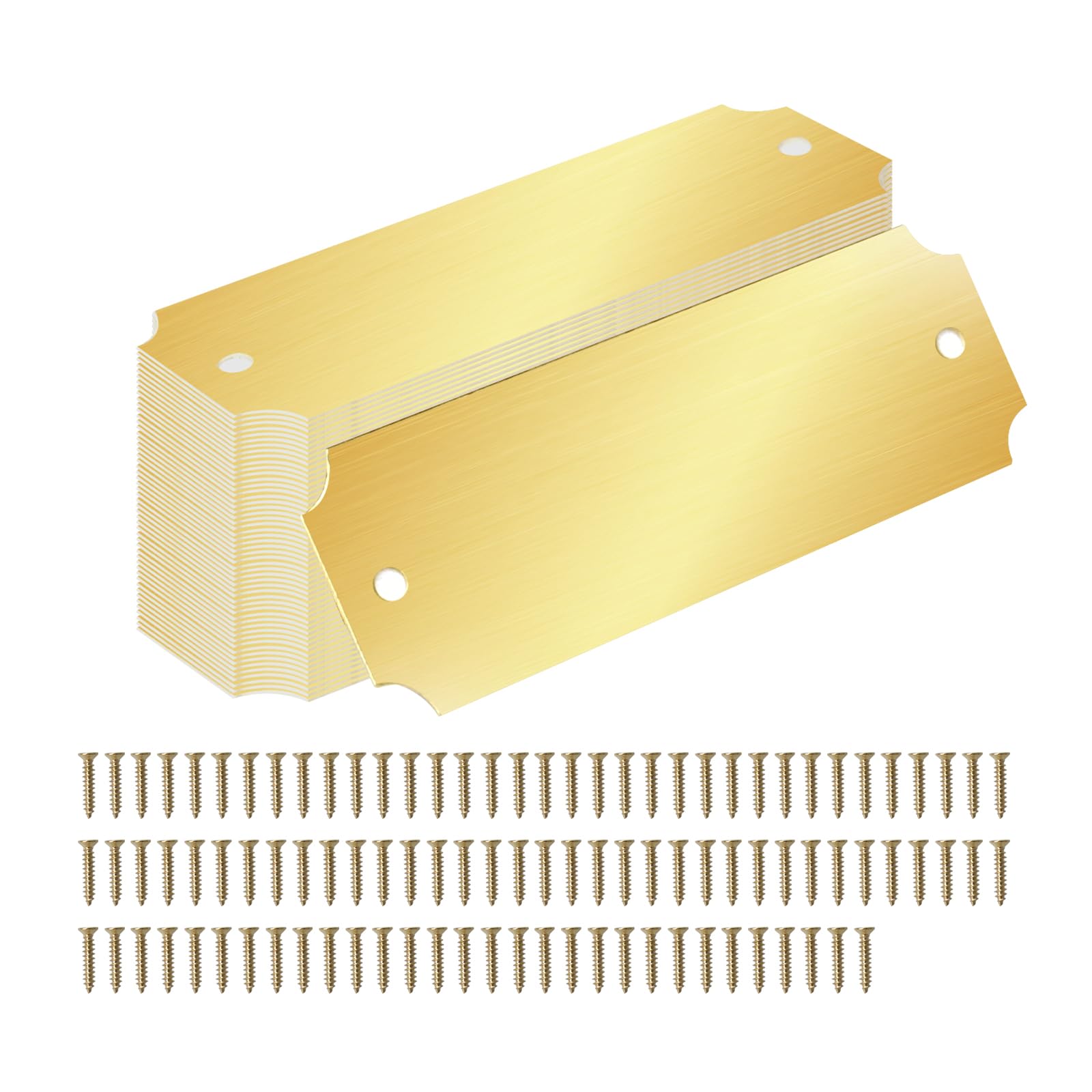 40 Pcs Name Plates Laser Engraved Solid Brushed Metal Plate with 100 pcs Screws Tag Frame Name Custom Name Personalized Plaque Blank Label with Screws