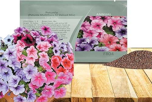 Outsidepride Semillas de petunia multiflora veteadas, 1000 unidades. Semillas anuales, compactas, de flores para plantar, flores vibrantes, ideales