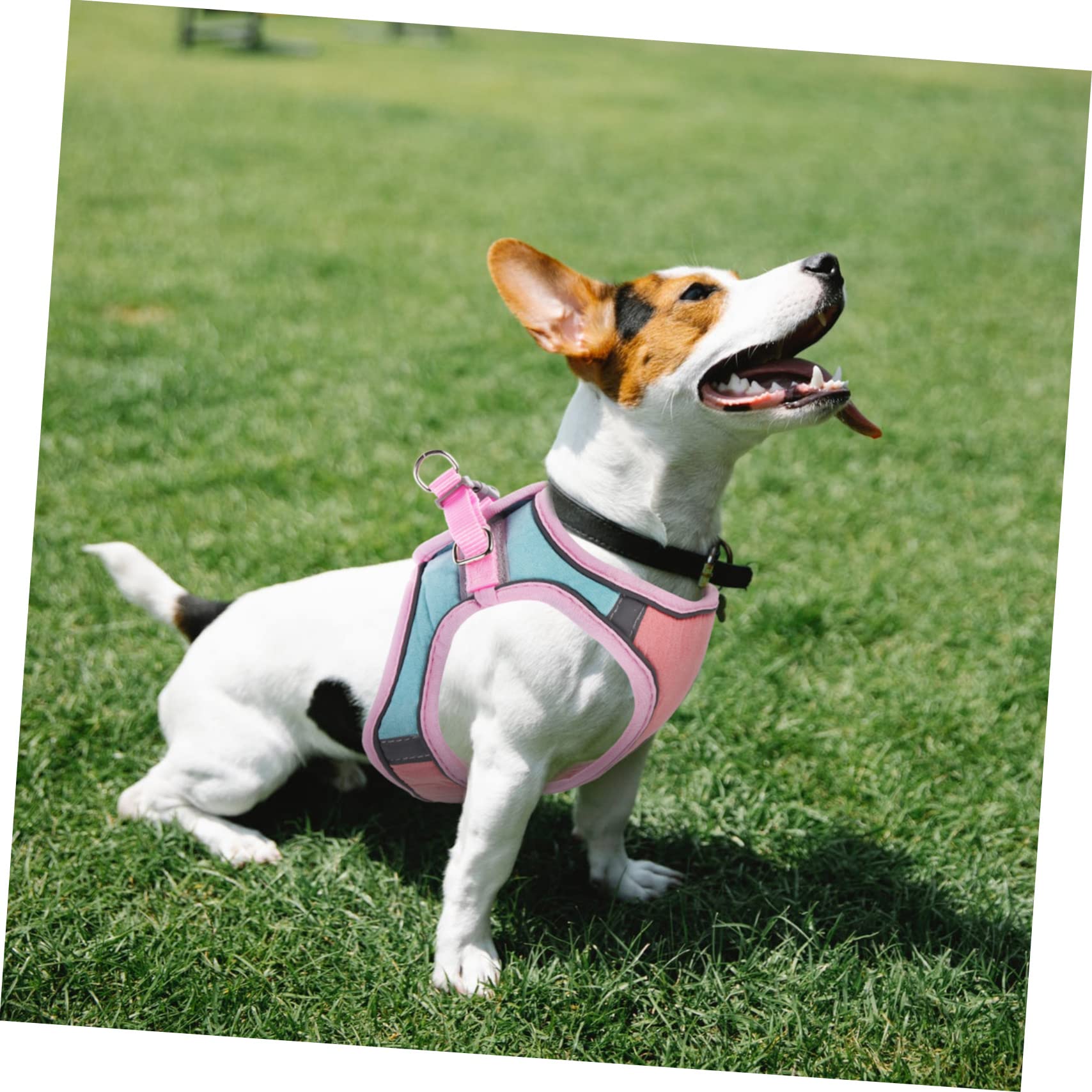 Mipcase 3sätze Verstellbares Katzengeschirr Und Set Ausbruchsicheres Design Atmungsaktives Mesh Für Katzen Und Kätzchen Mit Reflektierenden Elementen -grün