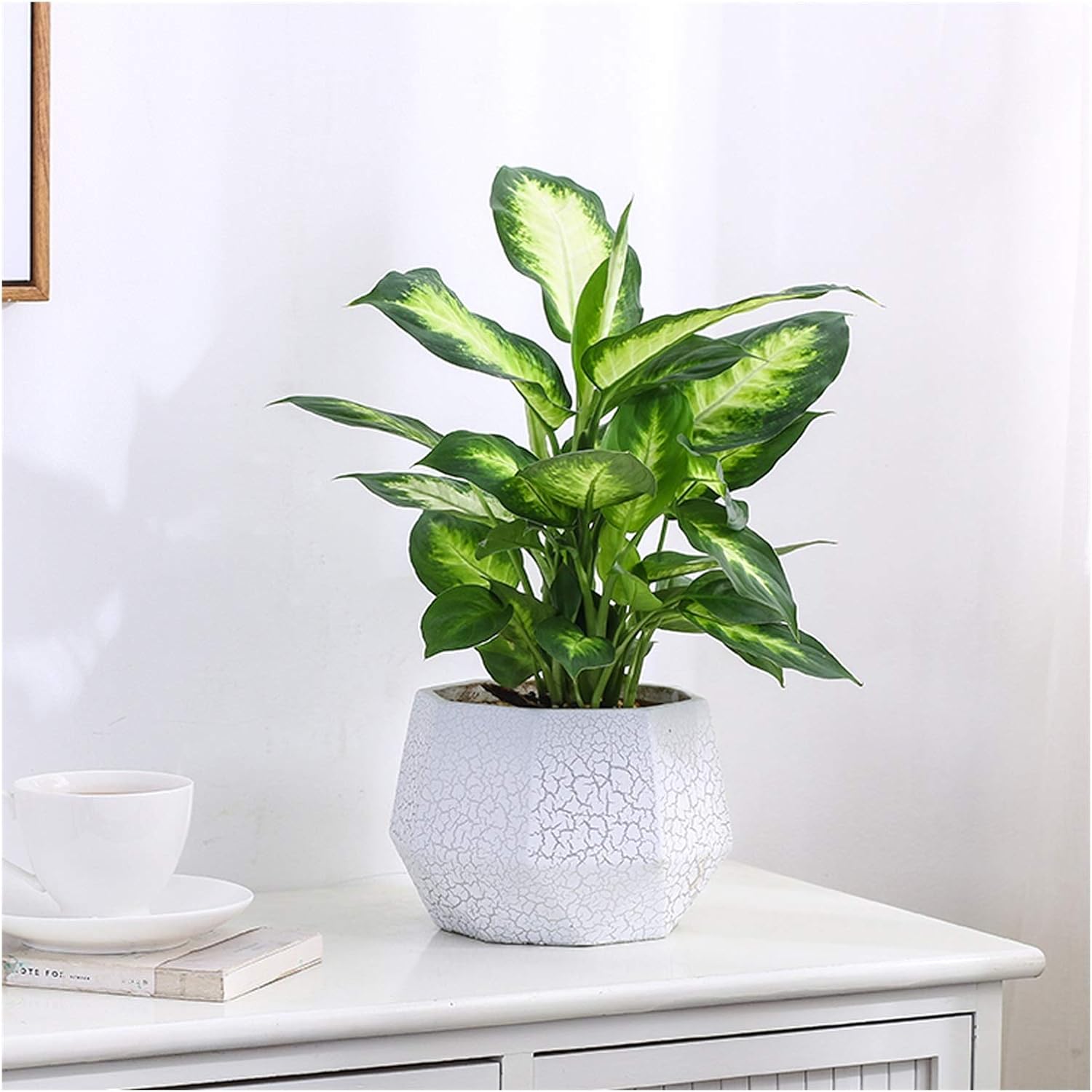 Plants Flower Pots Outdoor Indoor Garden Planters Ceramic Plant Containers with Drain Hole Modern Flower Pot for All House Plants Flowers Herbs Gardening Pot (Size : Brass)