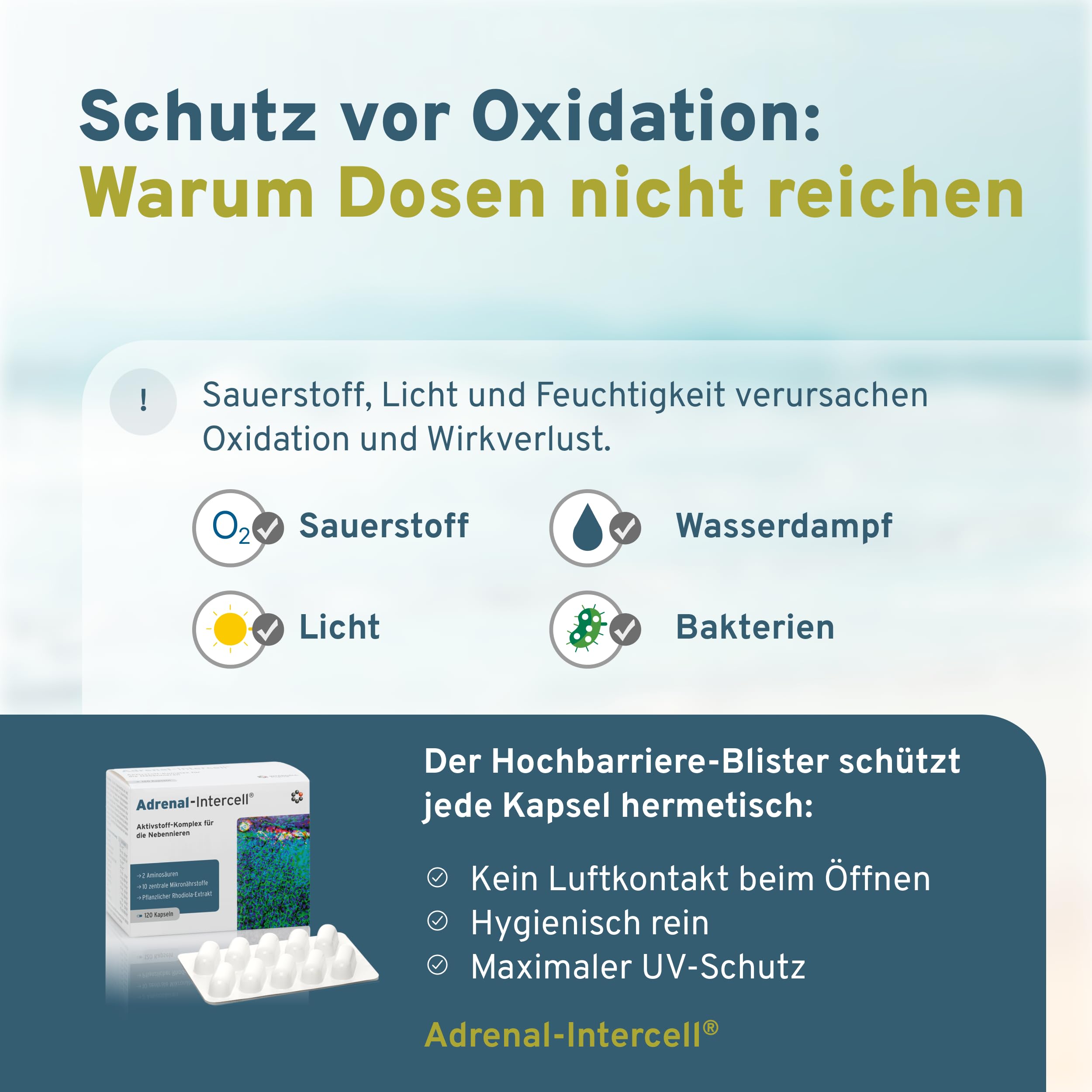Adrenal Intercell (120 Kapseln) - Aktivstoff für die Nebennieren - mit L-Tyrosin (Aminosäure), Vitamin C, Pantothensäure, Rhodiola, Magnesium, Zink, Vitamin B1, B2, B3, B6, B12 & Folsäure