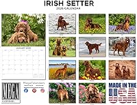 Vista 866 de Razas de Perros 2017