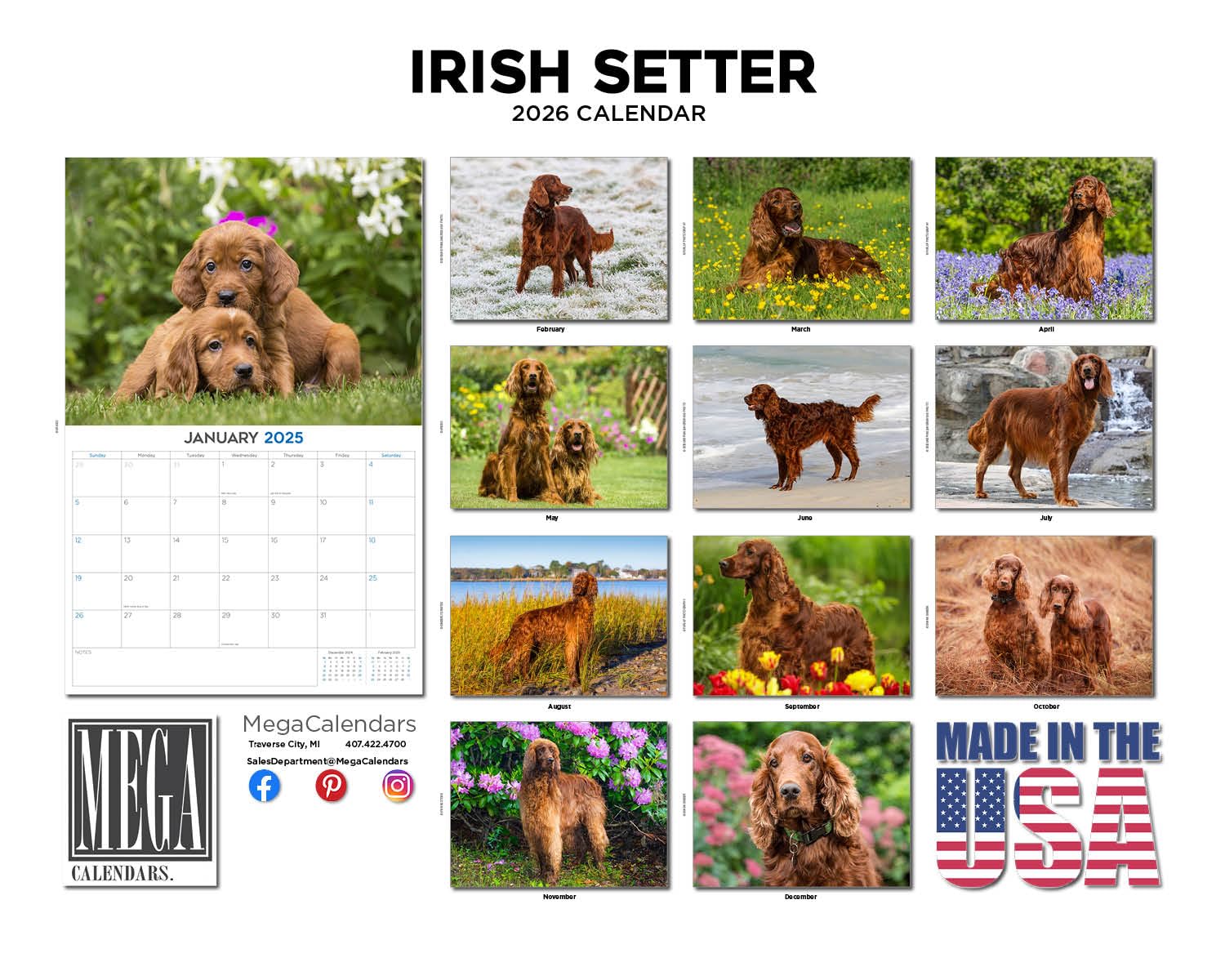 2025 2026 Calendario Setter Irlandese - Calendario da Parete Mensile della Razza di Cane - 30,5 x 45,7 cm Aperto - Carta Spessa Senza Scolorimento - Regalabile - Calendario Organizzatore e