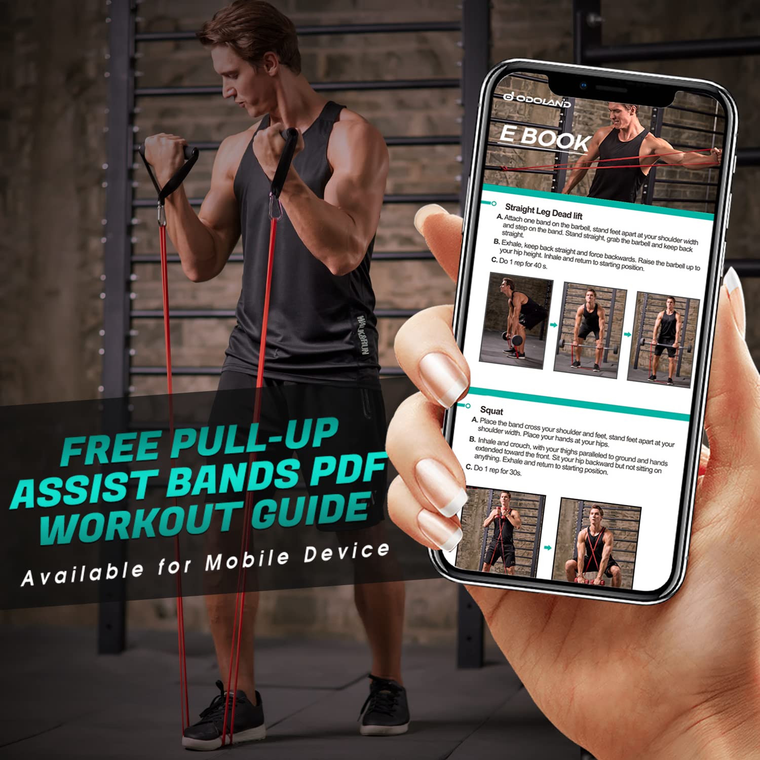Odoland Bande Elastici Fitness Set, Bande Elastiche Resistenza Set con 5 Livelli di Loop Bands, Maniglia, Gancio alla Porta, Moschettone, per Rafforzare la Forza Fitness a Casa