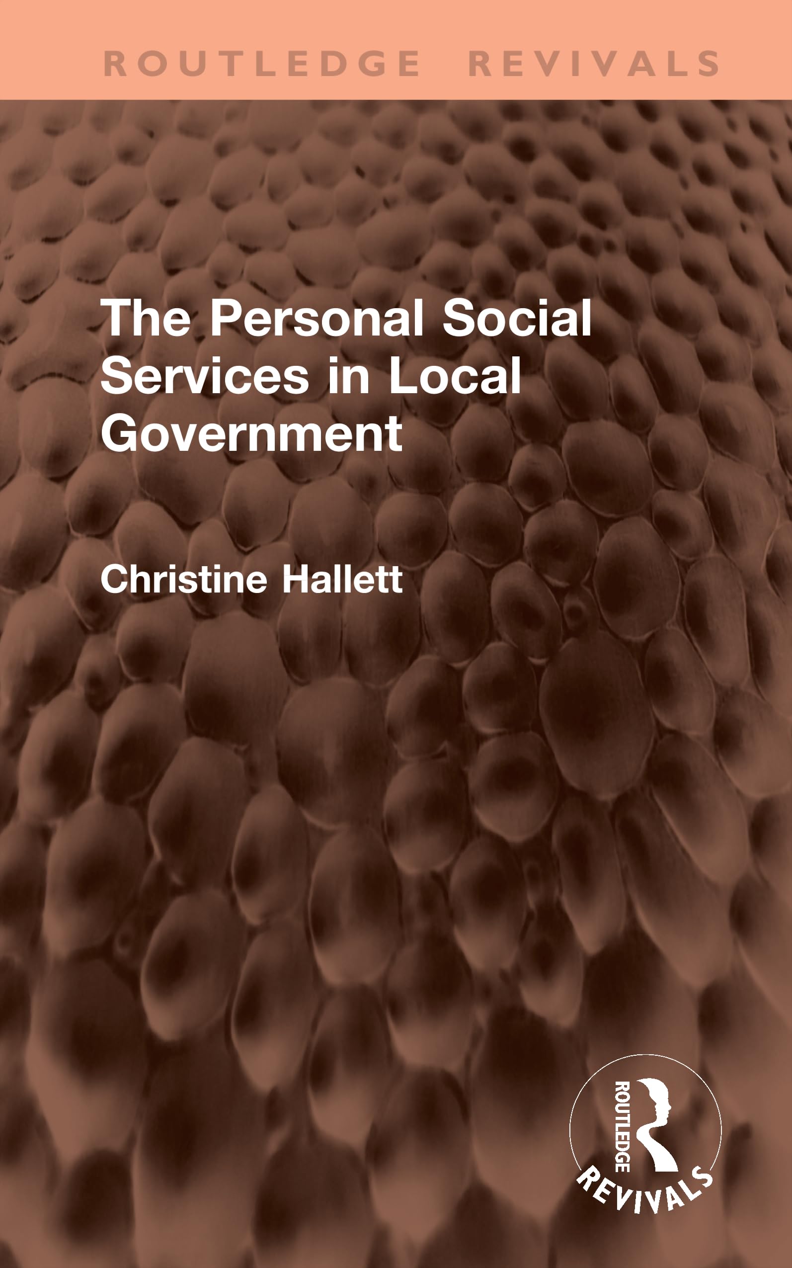 The Personal Social Services in Local Government (Routledge Revivals)