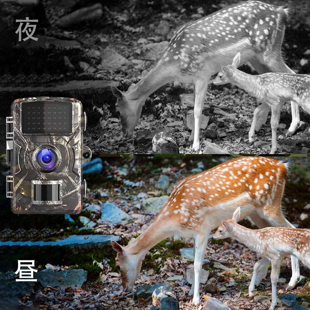 トレイルカメラ 赤外線LED 1080P HD 1200万画素 【メーカ保証】 Amazon.co.jp: トレイルカメラ 3600万画素 Full HD 防犯カメラ