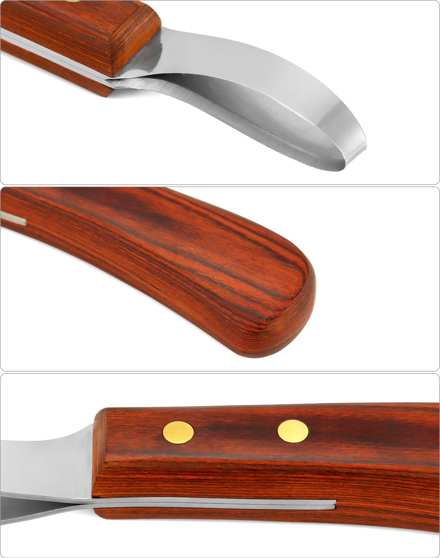 QWORK® Cuchillo para pezuñas de Acero Inoxidable de Primera Calidad con Mango, Cuchillo para bucles, Herramienta para Recortar pezuñas para Caballos