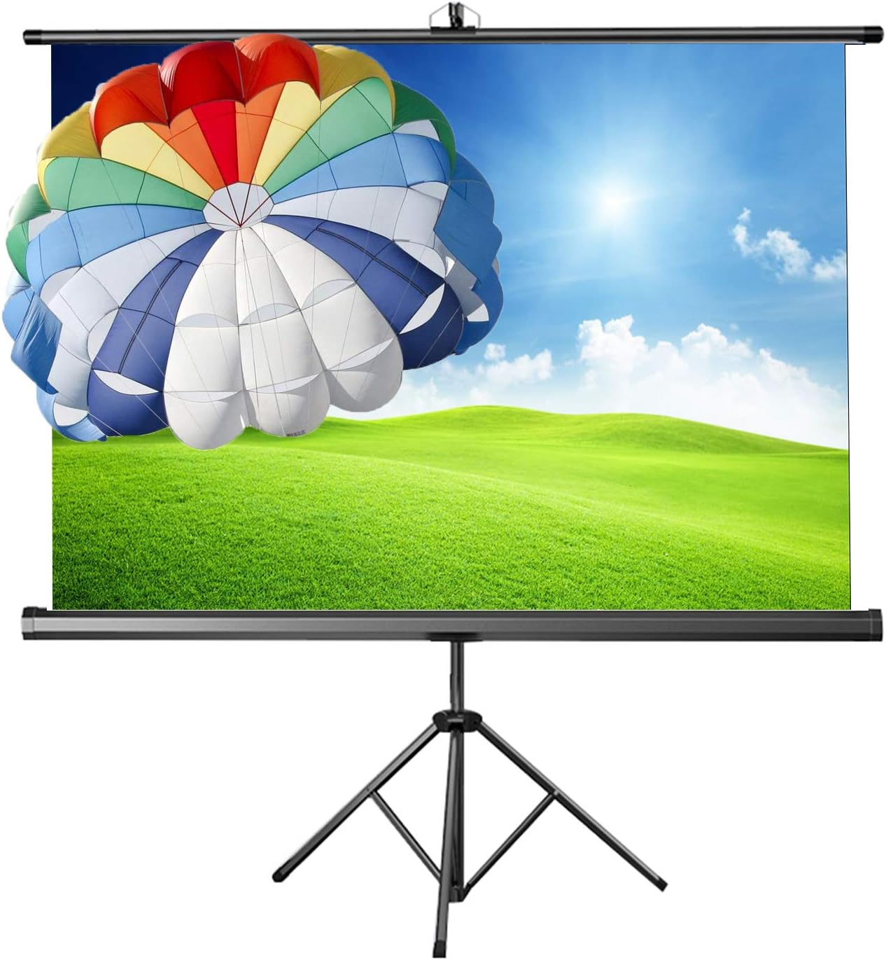 60" Manual Projector Screen, Public Display Projection