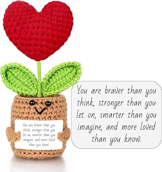 Mini Emotional Support Plush Heart for Sisters Friends Daughter Son, Positive Crochet Flower Decor, Inspirational Birthday Gifts Youre Loved More Than You Know