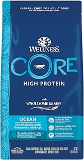 Wellness CORE Wholesome Grains Ocean Recipe, 4 Pound Bag