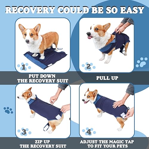 Miniatura 6 de TORJOY Traje de recuperación de cirugía transpirable para perros para hombres y mujeres, enterizo profesional de recuperación de perros con