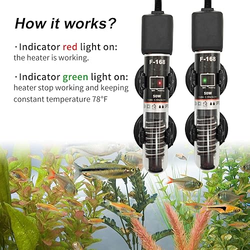 Miniatura 6 de Mini calentador de acuario, termostato de calentador Betta sumergible pequeño de 25 W50 W con termómetro libre, peceras de menos de 6 galones (25 W)