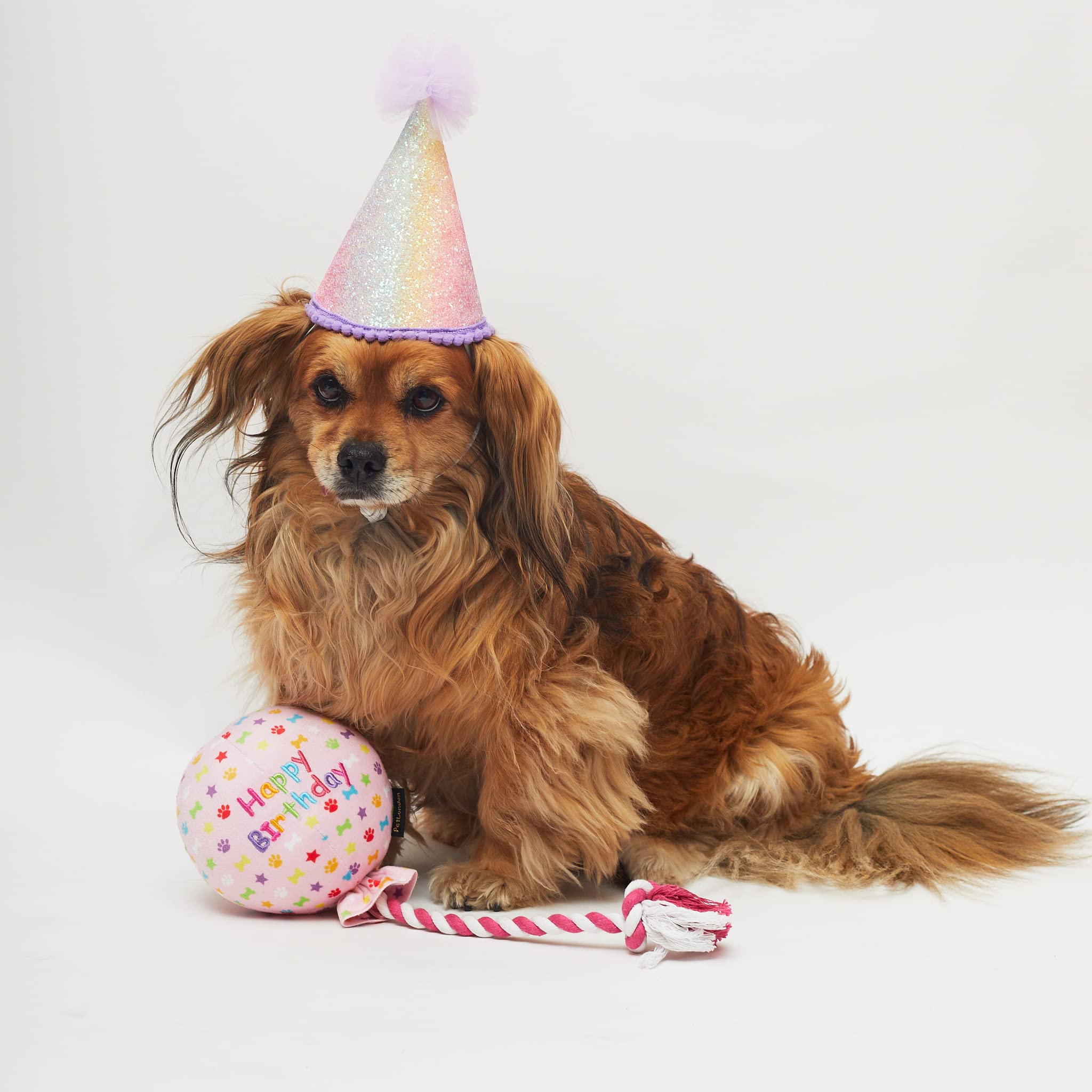 Pet London Geburtstags-Hundespielzeug mit Luftballon, Rosa – Feiern Sie den Hund Happy Birthday – Plüsch, buntes Regenbogen-Konfetti-Muster, Hunde-Party-Geschenk