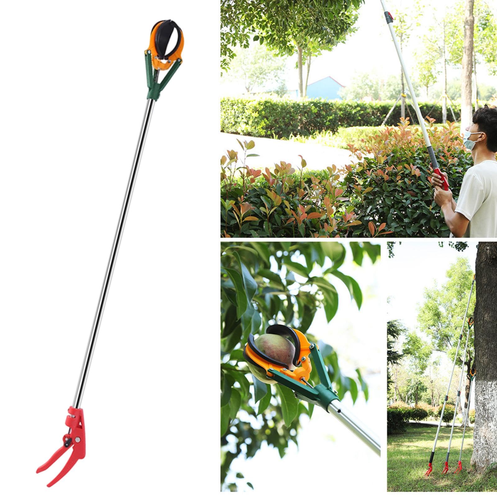 predolo Raccoglifrutta, attrezzo da Giardinaggio Leggero, Pratico e Multifunzionale, Robusto, Ideale per fattorie, di pere e