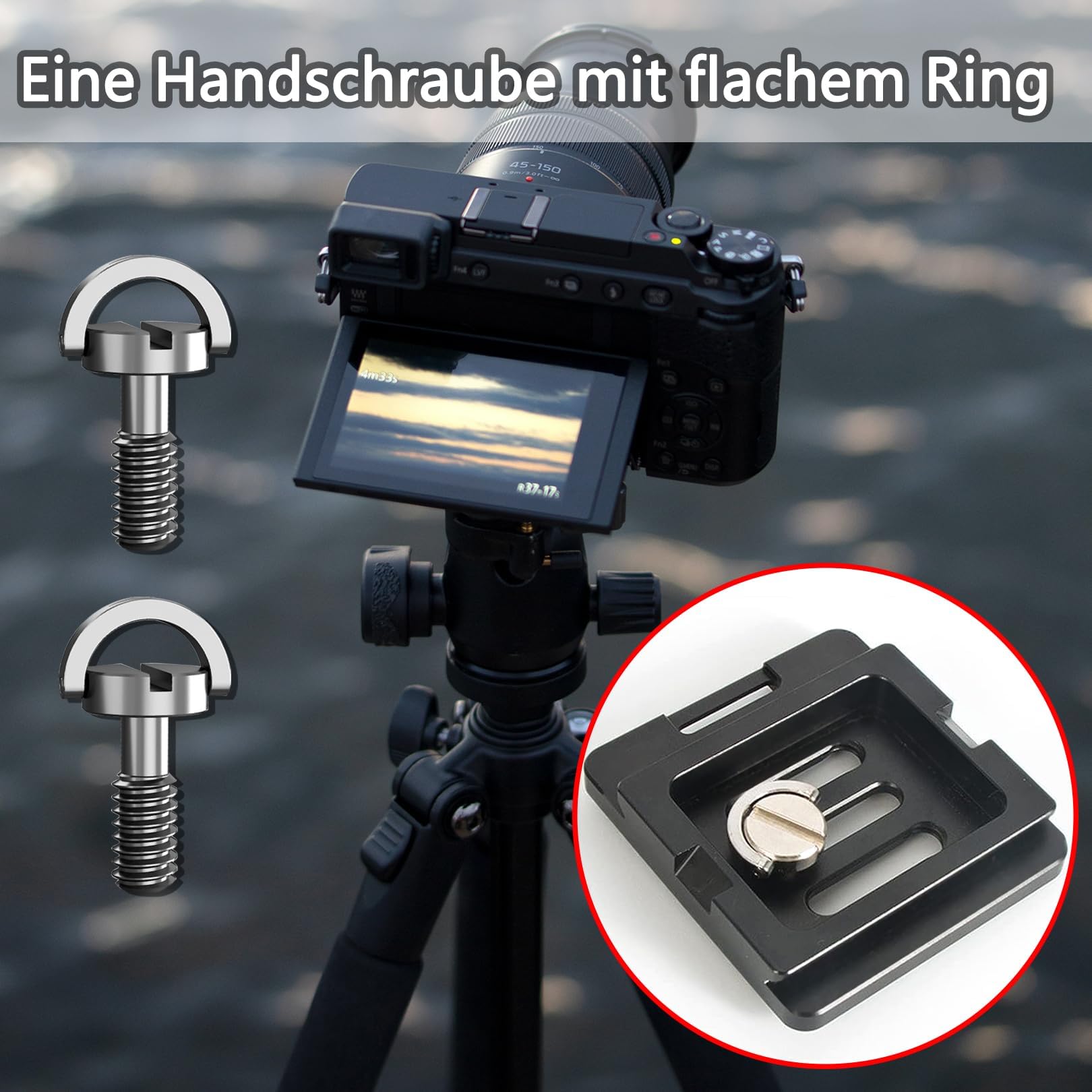 MUNZE Kameragurt Schrauben - 1/4 Zoll Edelstahl Adapter Für Stativ & Kameragurte