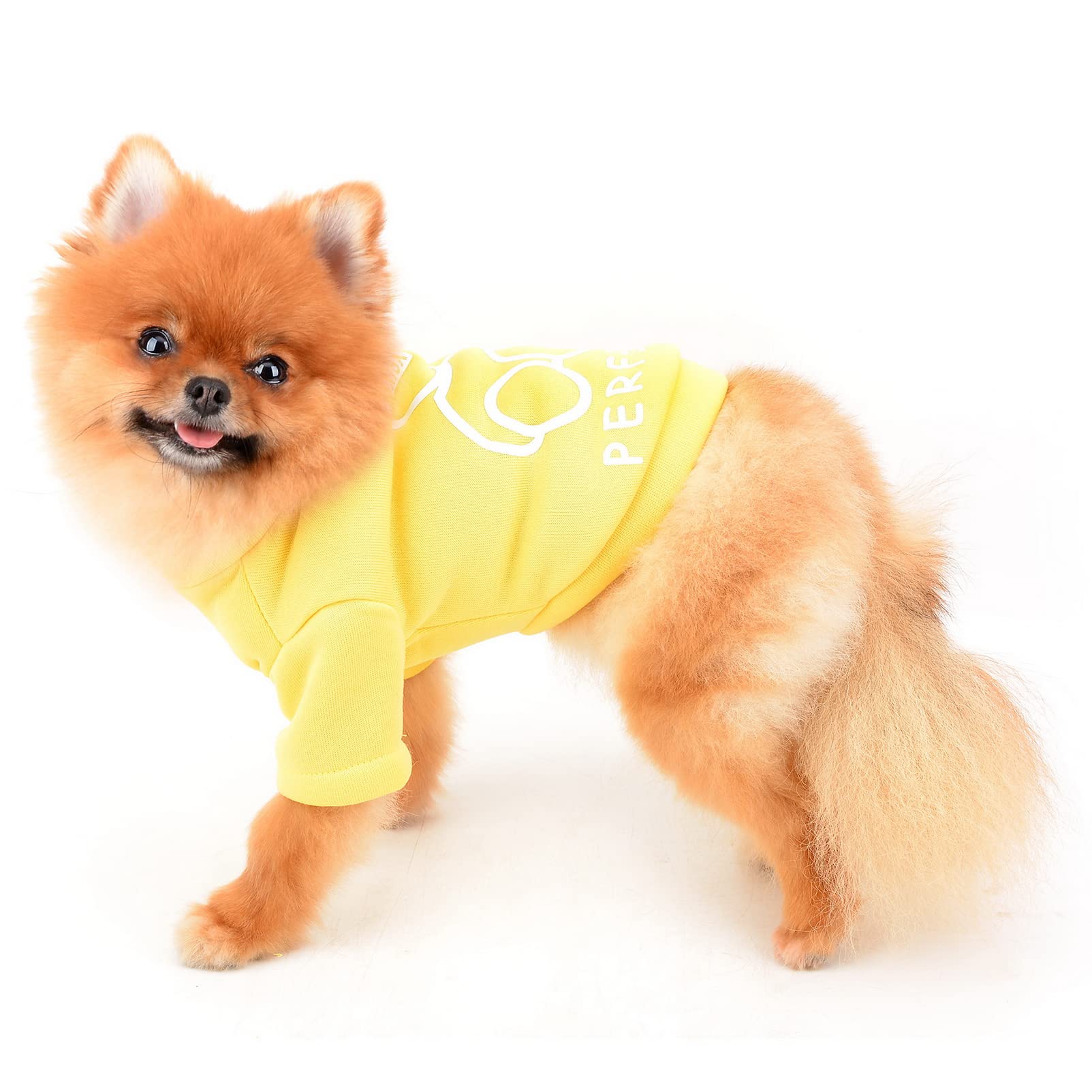 SMALLLEE_LUCKY_STORE Cute Cartoon Puppy Fleece Sweatshirt Pullover Jumper Sweater for Small Medium Dogs Cat Boy Girl Yorkie Chihuahua Kitten Warm Autumn Winter Clothes,Yellow,M - Image 4