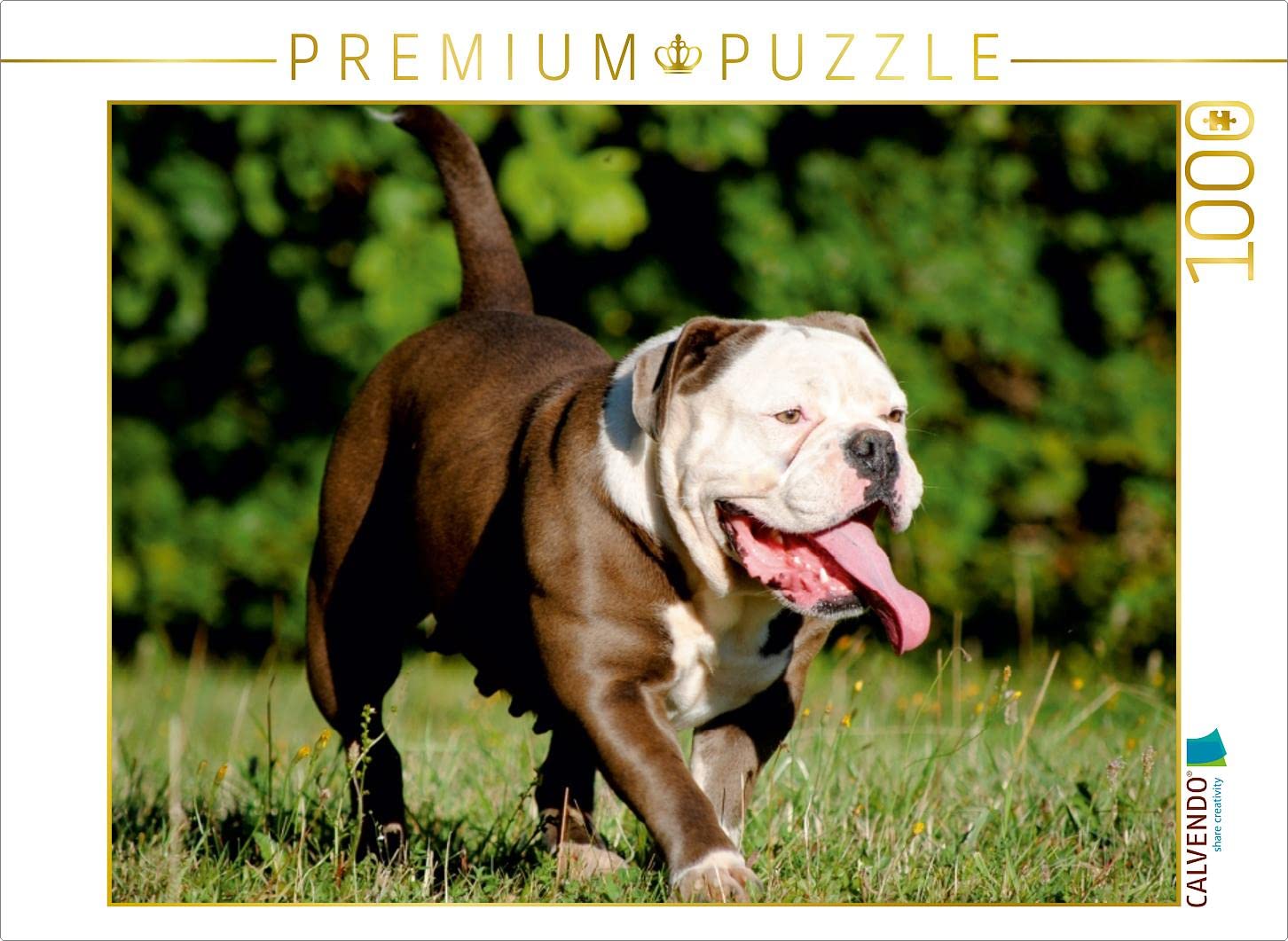 CALVENDO Puzzle Lilly 1000 Pieces 64 x 48 cm from Elisabeth Stanzer