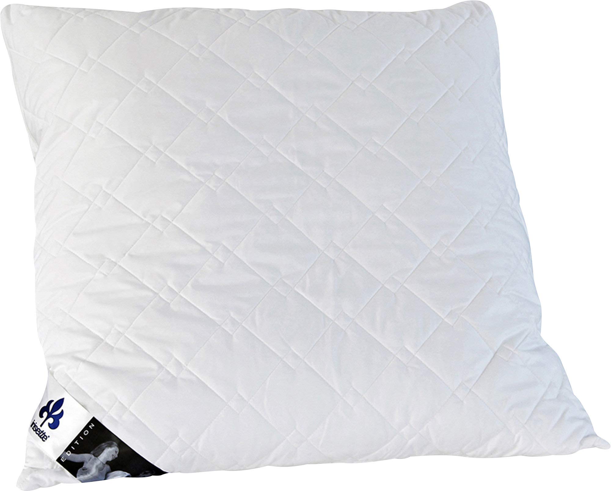 Irisette Edition Kopfkissen - Produziert in Deutschland - Kopfkissen mit abnehmbarem Bezug aus weicher Microfaser, 80 x 80 cm, Öko-Tex Zertifiziert (Packung mit 2)