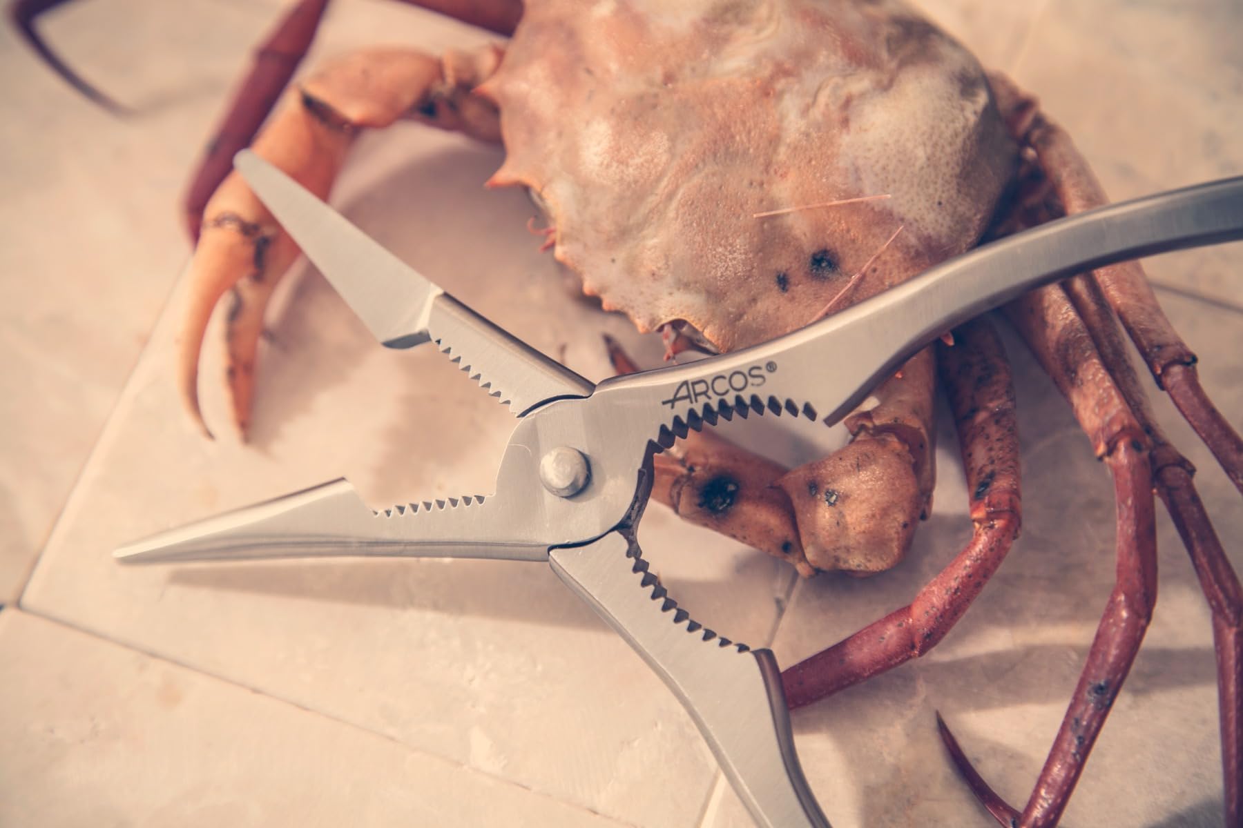 Pinza Per Pesce In Acciaio Inox Arcos - 110 Mm, Ideale Per Rimuovere Lische E Filettare - Foto 8