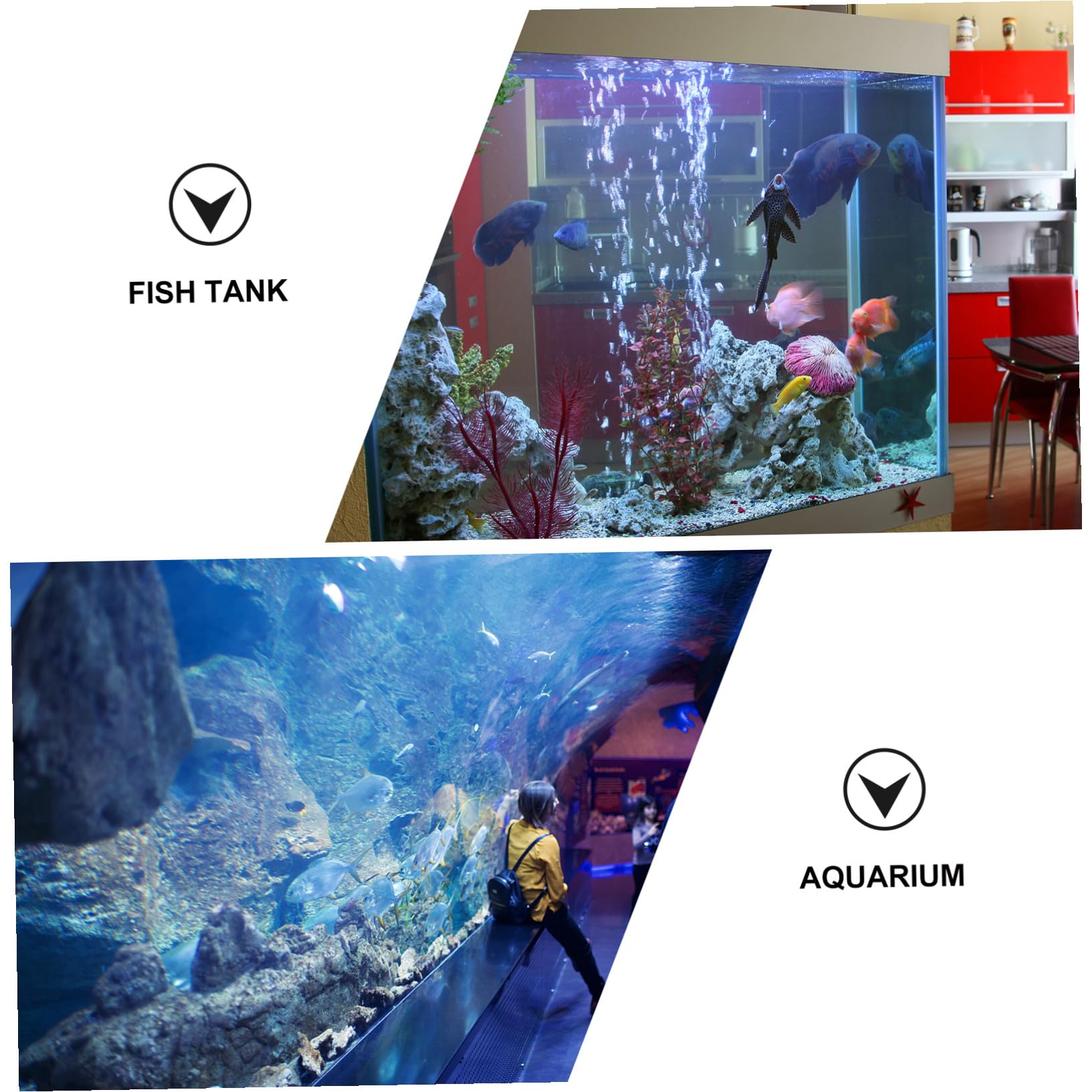 BESPORTBLE 18piezas Casa De Camarones Transparente para Peceras Refugio De Cría y Decoración Acuática Accesorios para Acuarios De Agua Dulce