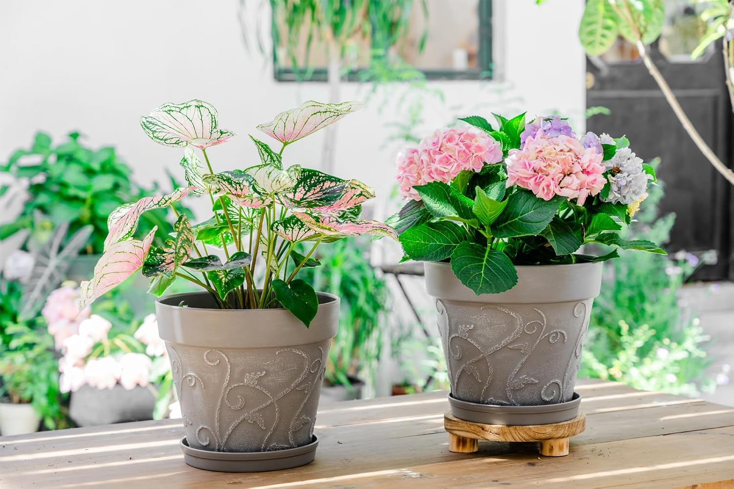 Melphoe Plant Pots Indoor with Drainage & Saucer, 2Pack 10 inch Flower Pots Outdoor Planters for Indoor Plants Garden Home Decor Cactus Succulent, Rigid Plastic (Imitation-Terracotta) Vine-Embossed Cement Grey Color 10''