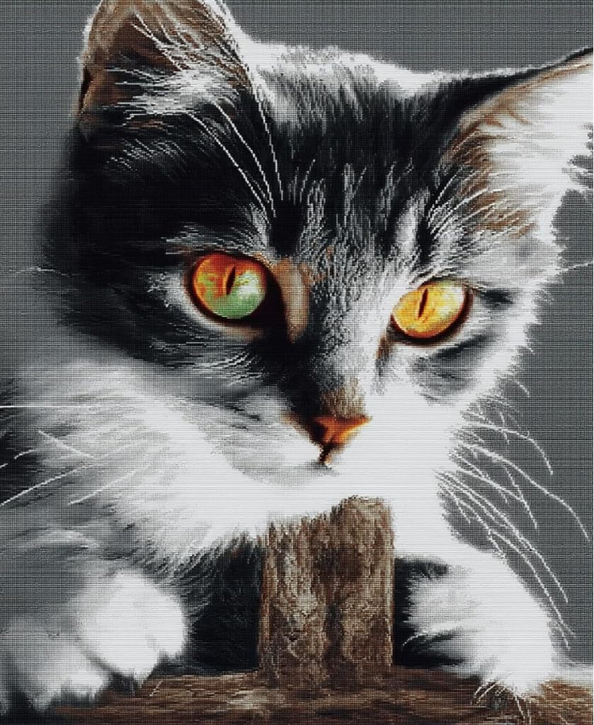 FanZheZhe Stamped Cross Stitch Kits for Adults Tapestry Kits for Adults Cross Stitch Kits Cross Stitch Kitscross Stitch Counted Cross Stitch Kits Pet Cat 11Ct50X70Cm