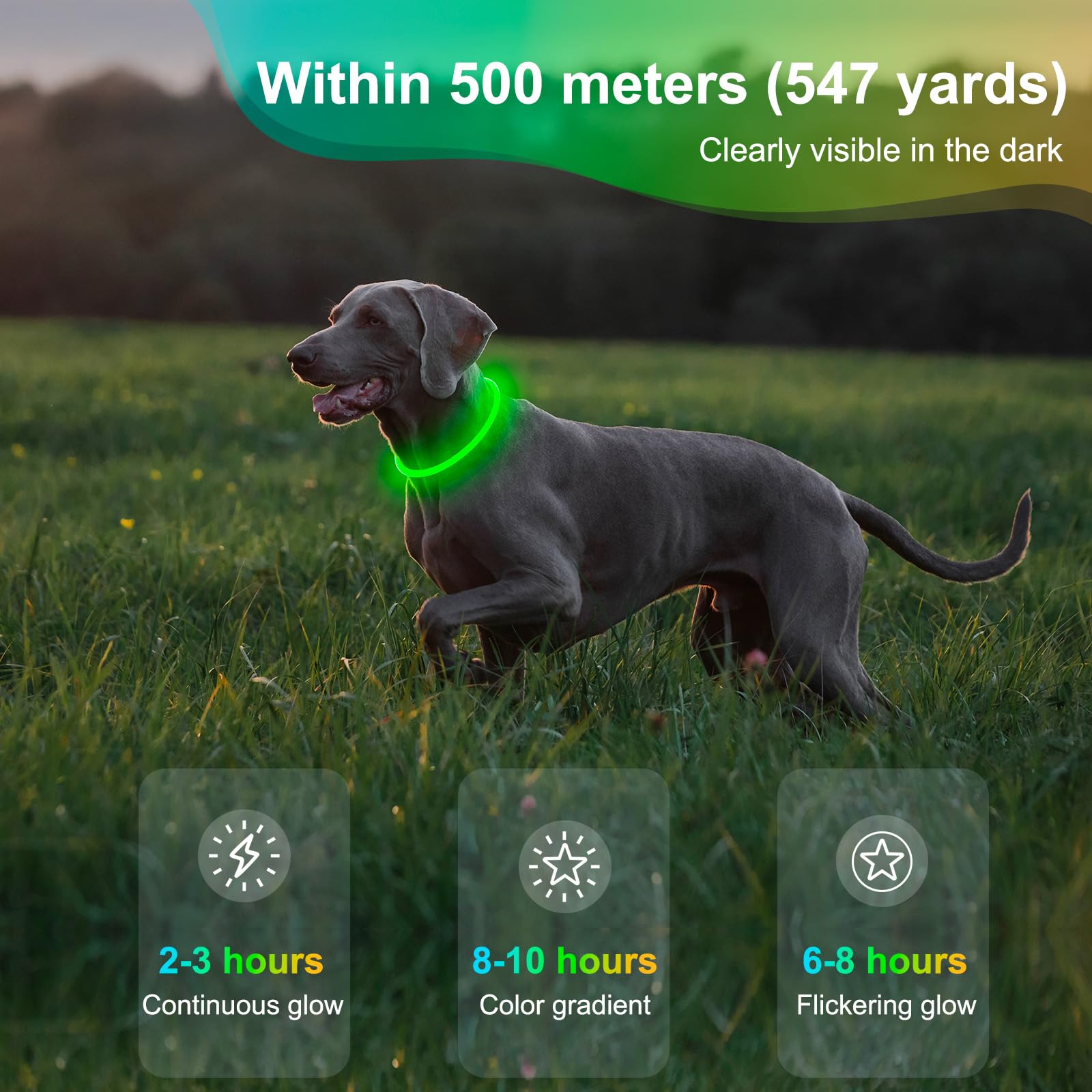 Collar de perro iluminado, collar LED impermeable para mascotas, recargable, luces brillantes de TPU para pasear por la noche (verde)