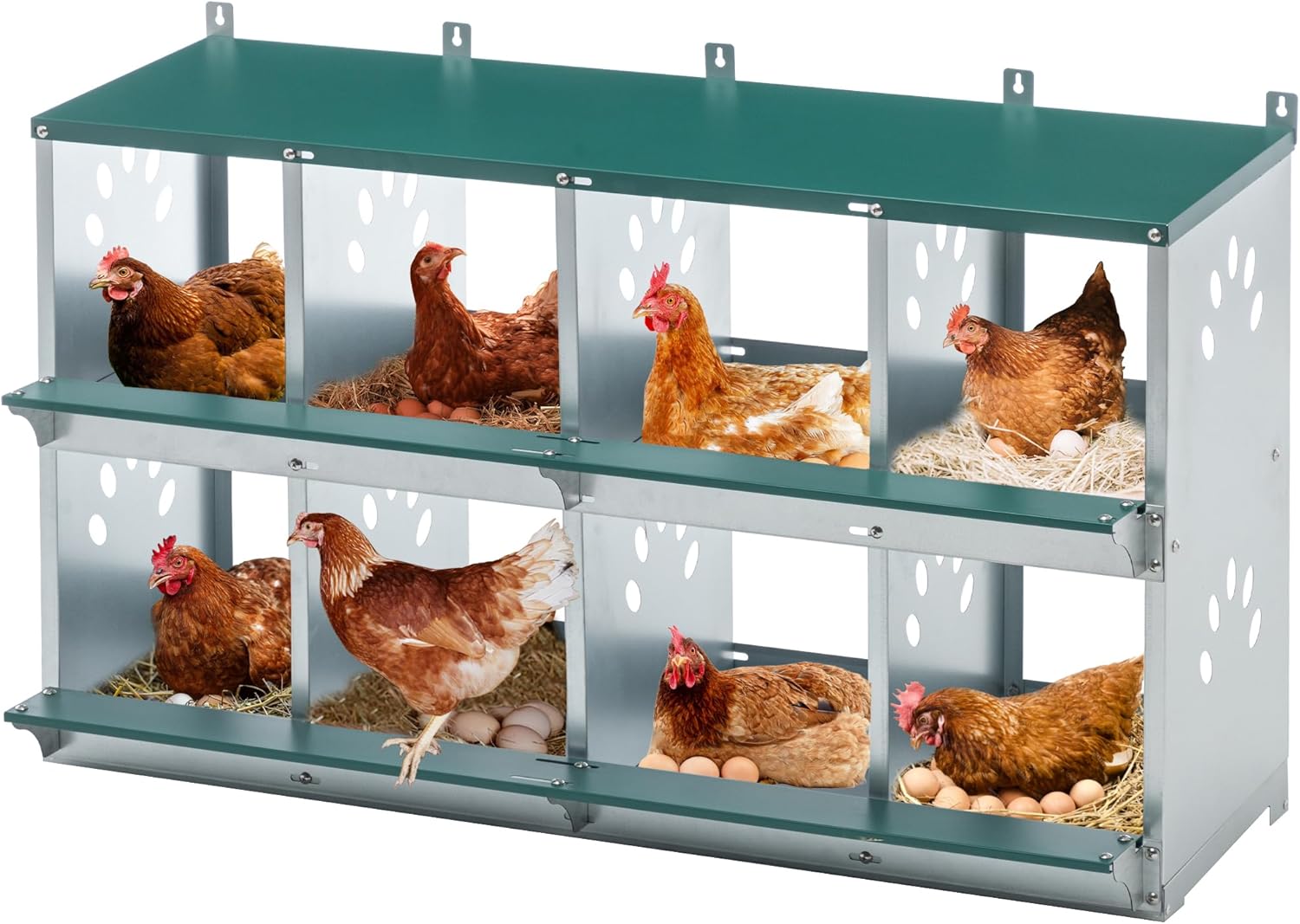 Chicken Nesting Box,Compartment Galvanized Steel Chicken Nesting Box,Wall/Floor Mount Egg Laying Coop with Roll‑Out Floor, Ventilation & Sloped Roof – Easy Clean & Assembly (8 Holes)