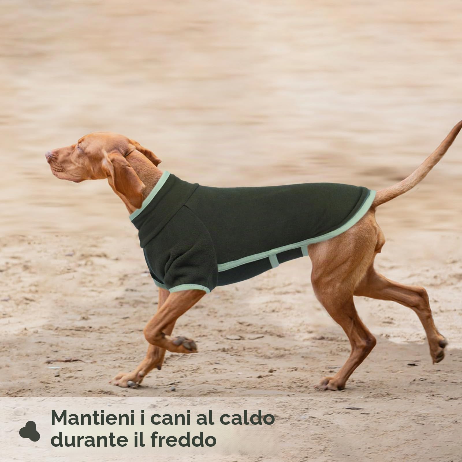 Giacca Invernale per Cani, Cappotto Invernale Maglioncino Pile Cane Taglia Media Pigiama Giubbotto Invernale Facile da Indossare(Verde militare, XL)