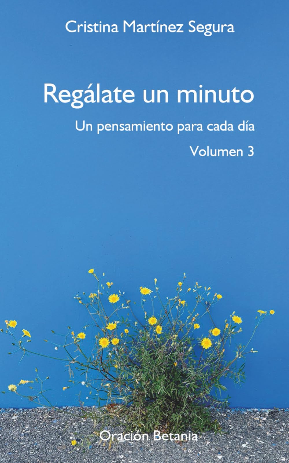 Regálate un minuto. Un pensamiento para cada día.Volumen 3: Reflexiones breves para detenerte, escuchar a Dios y vivir desde la paz interior (MAINMINUTE: REGÁLATE UN MINUTO. PENSAMIENTOS DIARIOS)