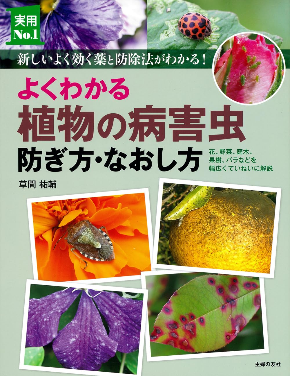 よくわかる植物の病害虫 防ぎ方・なおし方 (実用No．1シリーズ
