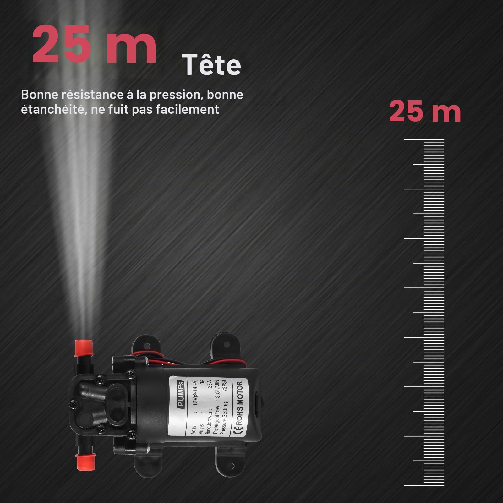 DEWIN Pompe à Eau, Micro Pompe à Diaphragme Agricole Électrique Pulvérisateur d'eau à Haute Pression Connecteur 10.3mm 12V 36W