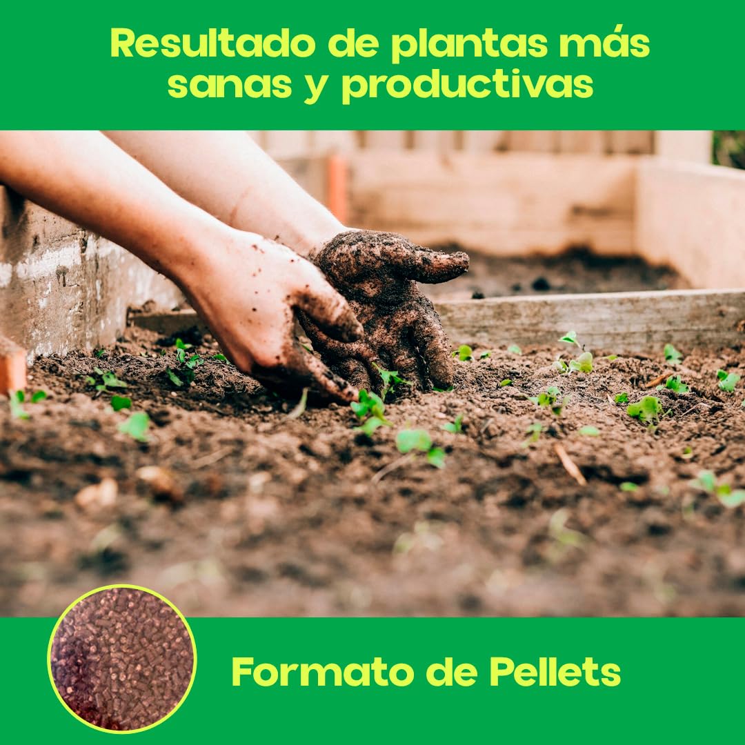 Quelato de Hierro para Plantas y Arboles 1 KG | Abono Carencia Hierro Fertilizante | Cura y Previene la Clorosis Férrica (Hojas Amarillas) | Soluble en Agua Nutriente Fundamental Plantas | Sipcam (1)