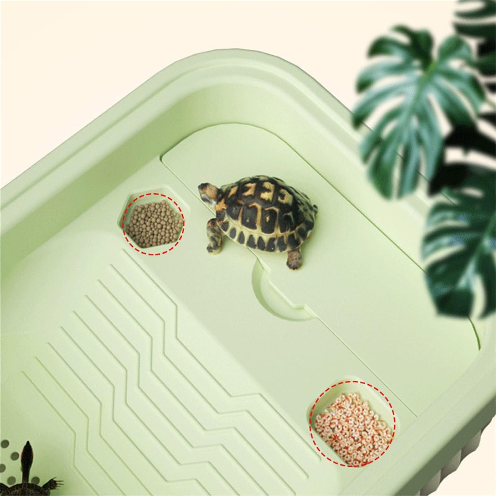 Siedlisko terrarium Platforma susząca na słońcu w zbiorniku dla żółwi, wspinaczka po zboczu, separacja suchej mokrej przezroczysta Terrarium akwariowe(Średni)
