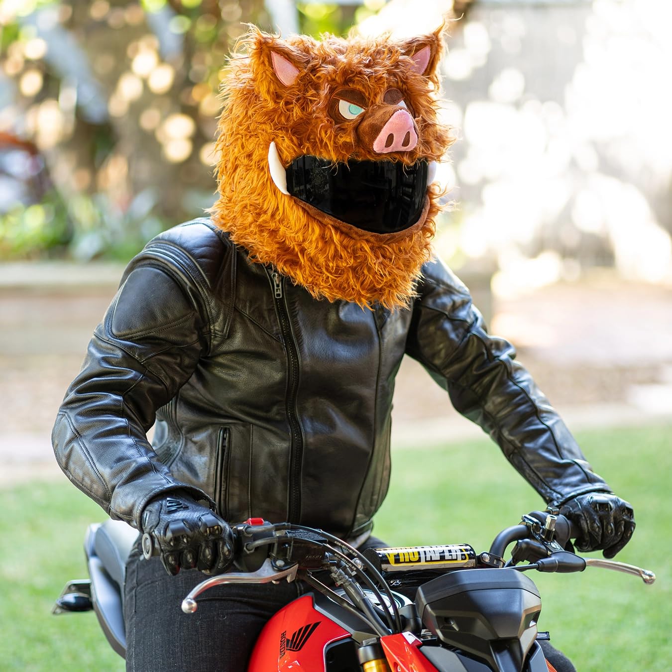 Amazon.com: Moto Loot Helmet Cover for Motorcycle Helmet, Fun Rides and  Gifts (Cover Only. Helmet Not Included) - Wild Boar : Automotive
