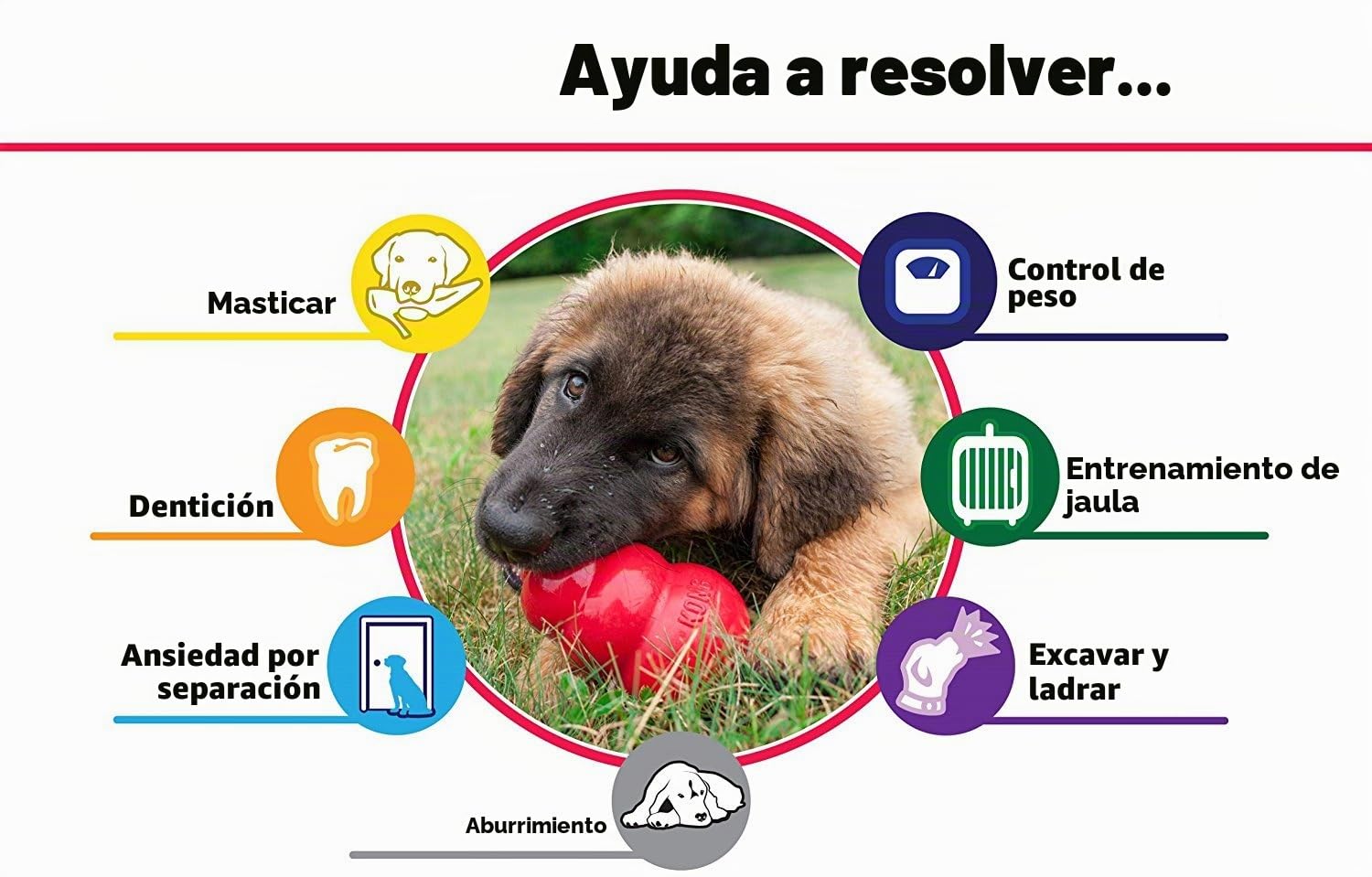 Kong Perro 2 Pack Grande Clásico