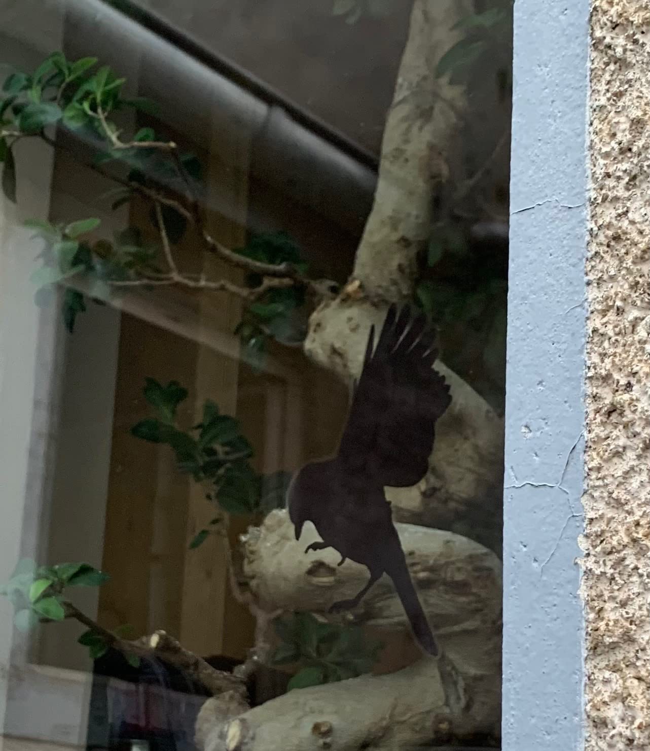 21 Autocollants De Fenêtre Anti-Collision Oiseaux Arc-en-Ciel – Stickers Translucides 3D Effet Prismatique Pour Protéger Les Oiseaux Et Décorer Ta Maison