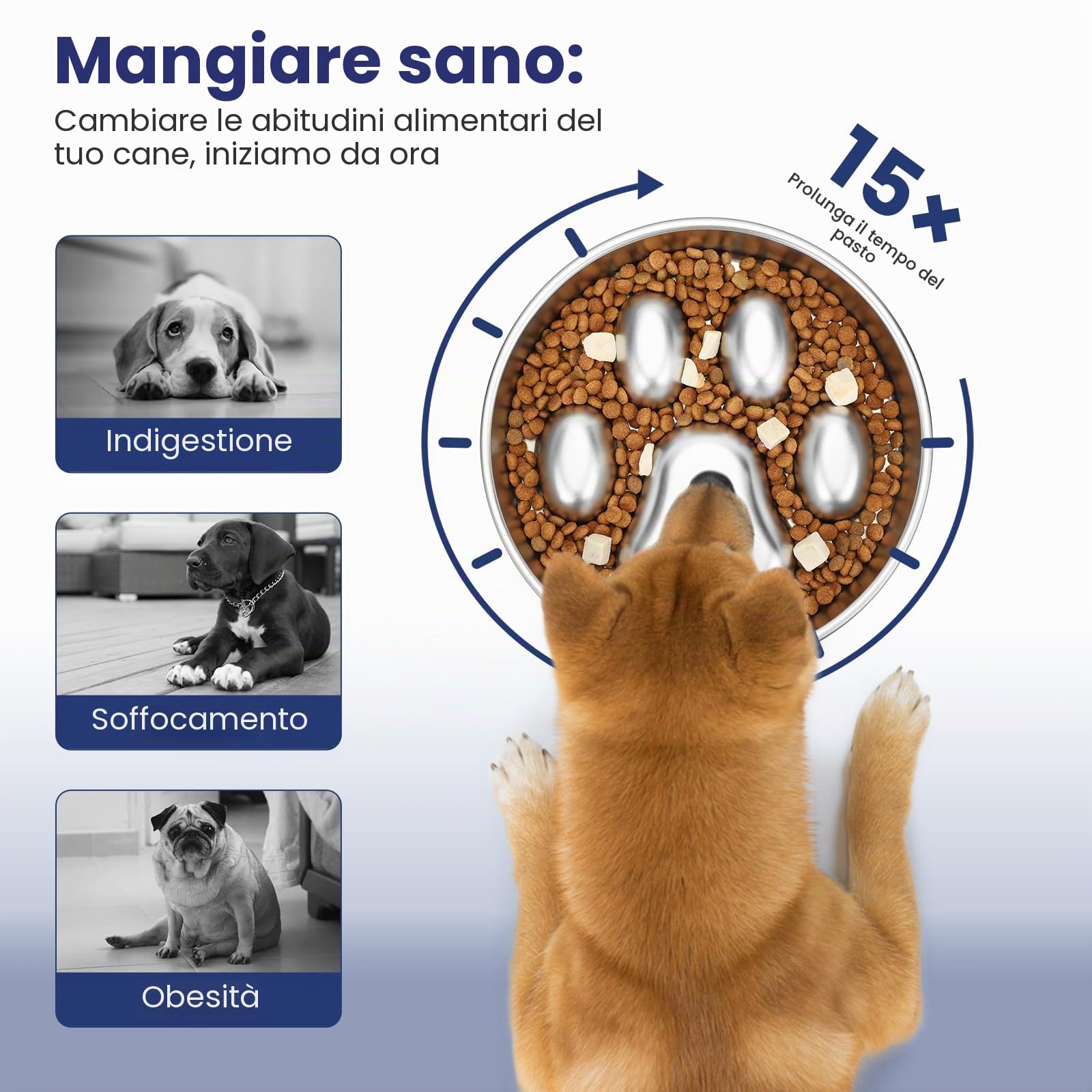 PETTOM Ciotola Anti Ingozzamento Acciaio Inox, Ciotola per Cani Anti Ingozzamento Ø21 cm, Ciotola Cane Slow Feeder