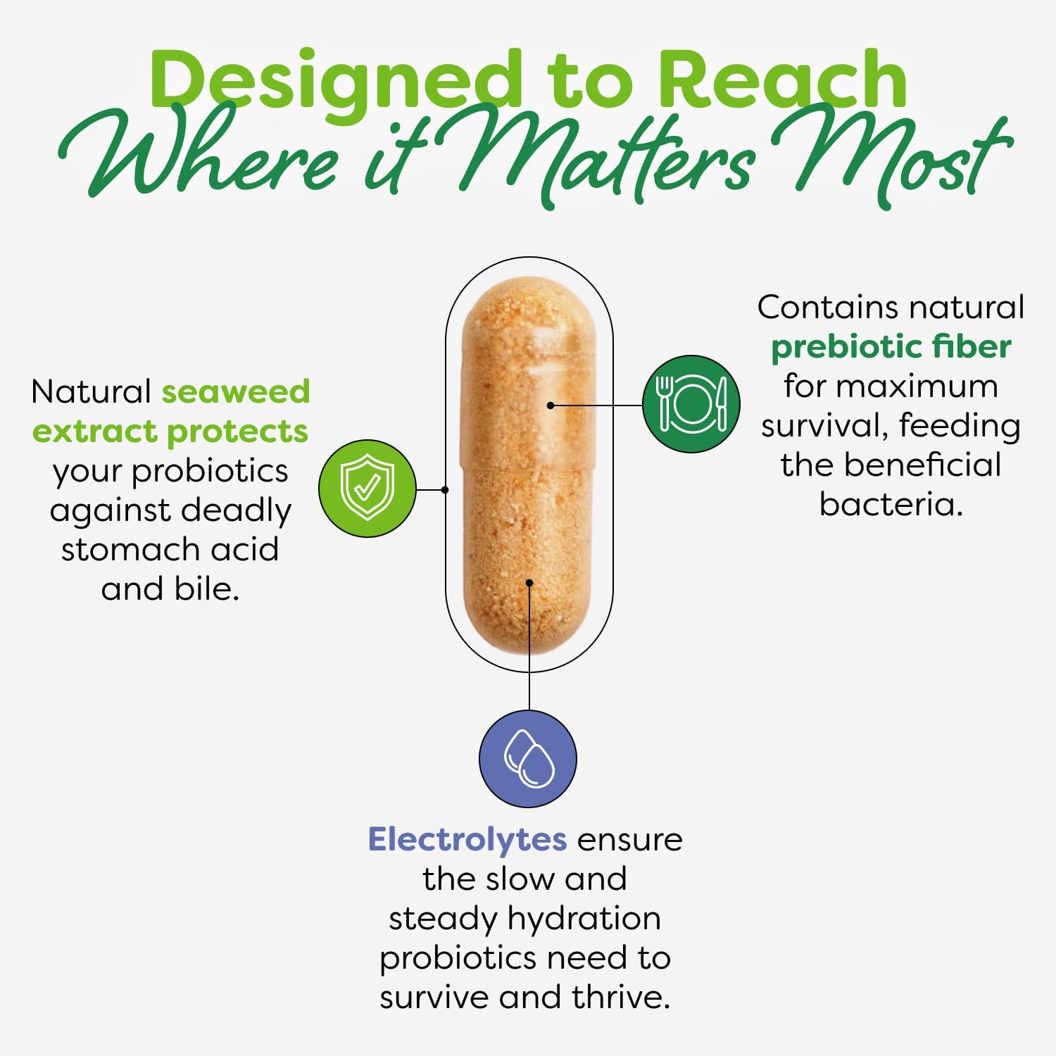 Probulin Total Care Soothe Prebiotic, Probiotic and Postbiotic + Ginger & Mint for Digestive Soothing - 15 Billion CFU - 15 Strains - 30 Vegan Capsules