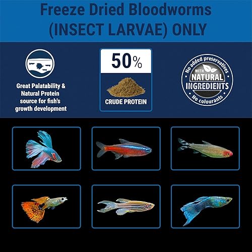 Miniatura 5 de Dulces secos congelados Tetra Blood Worms