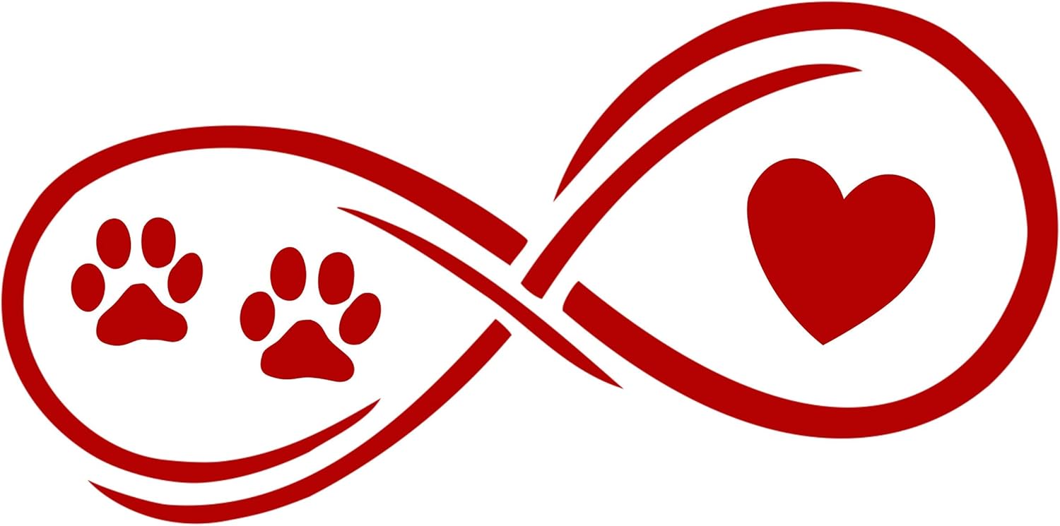 Car Window Decal Infinity With Heart Vinyl Decal - White 4.5x2 Inch Made In USA Sticker Car Window Sticker
