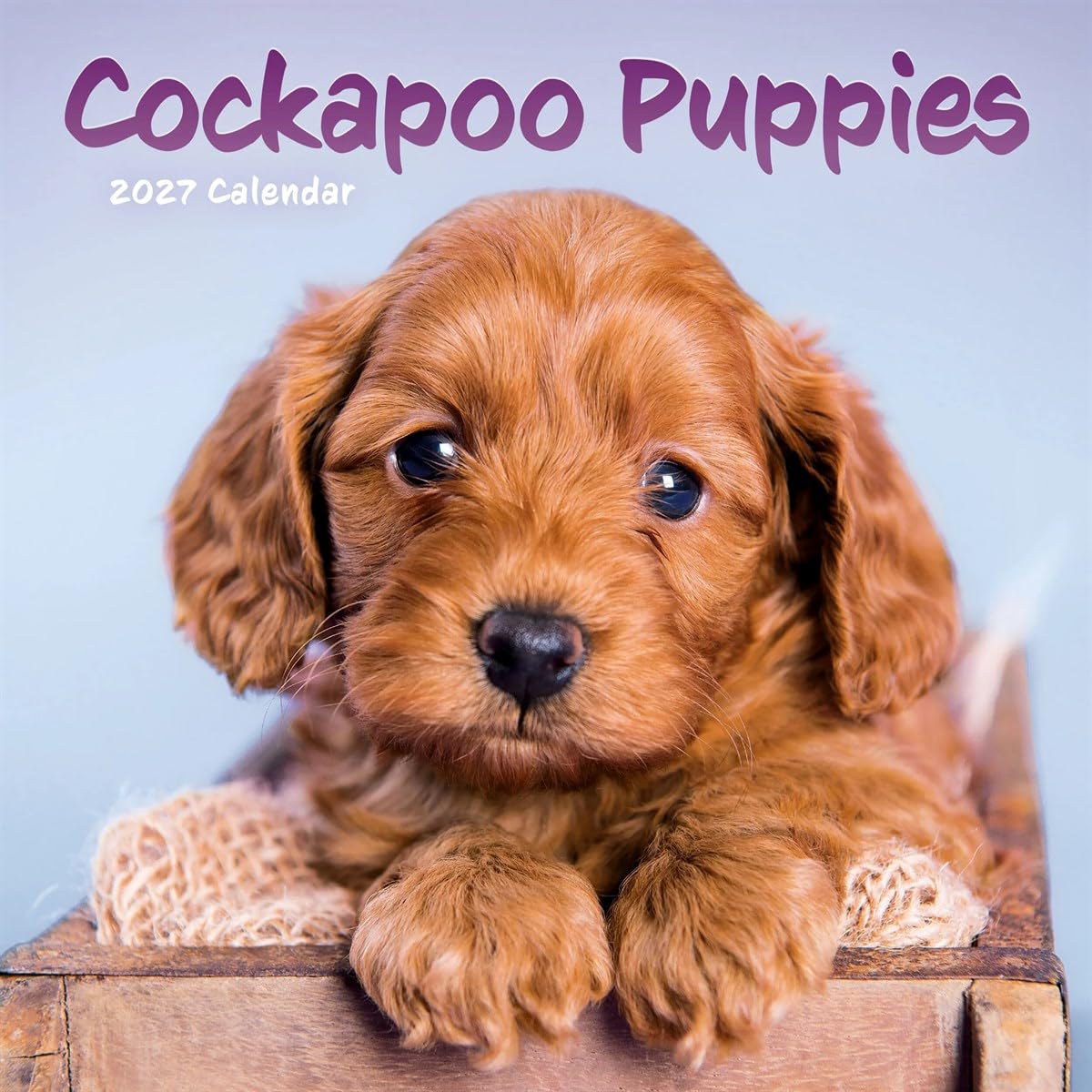 Carousel Worldwide Cockapoo Puppies 2027 Mini Wall Calendar, 12-Month Calendar, Cute Dog Photography