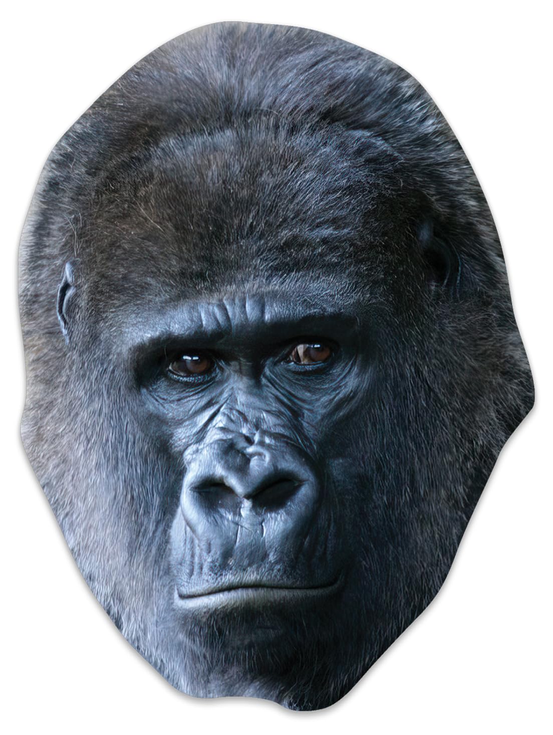 Star Cutouts SM450 Gorilla Cardboard Face Mask – Animal Costume Fancy Dress, Jungle Party Favour & Novelty Dress Up Mask