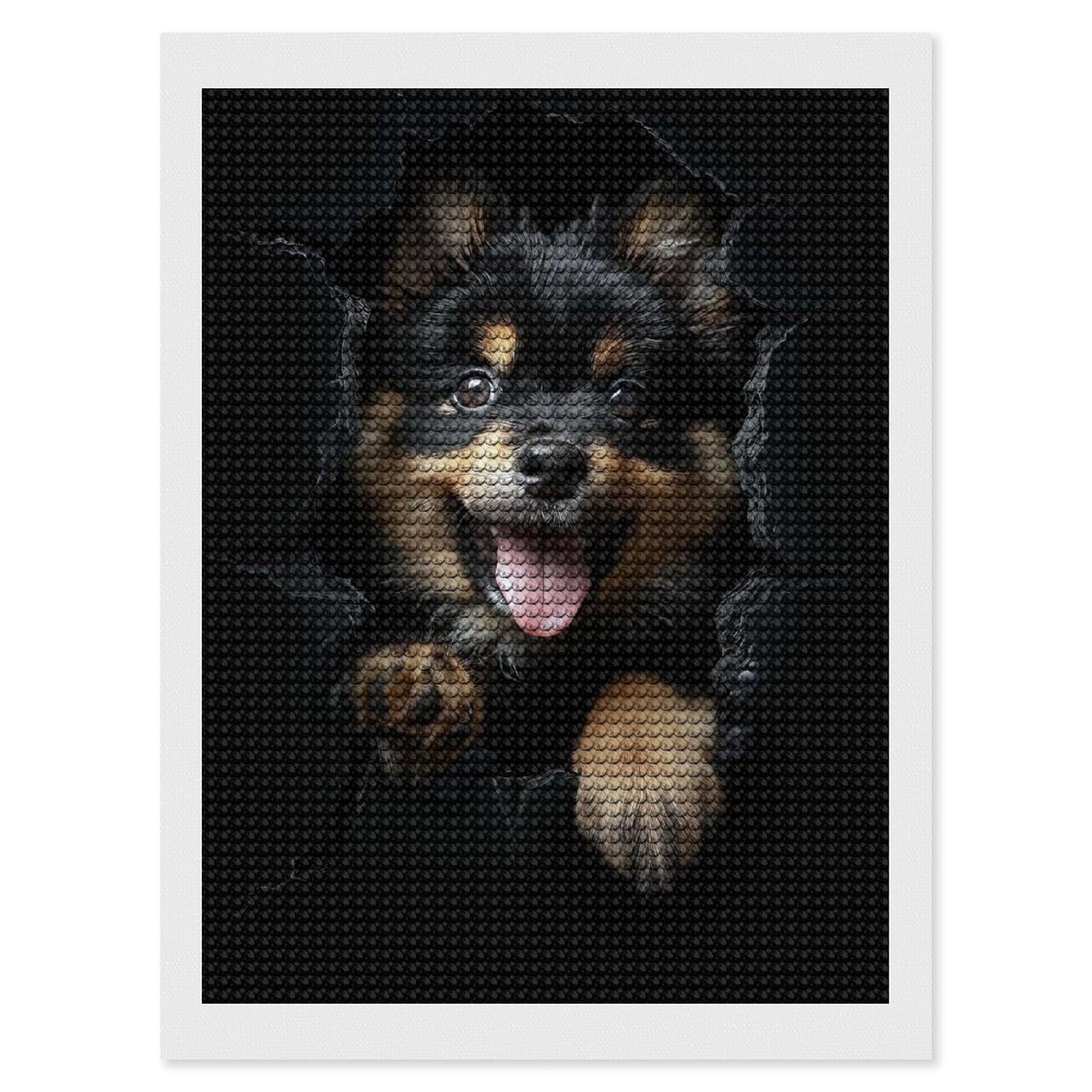 Junmoney Finnish Lapphund Diamond Painting Set 12"x16", Modern Decor, for Beginners, Printed Canvas, Thoughtful Handmade Gift, with Tool Kit