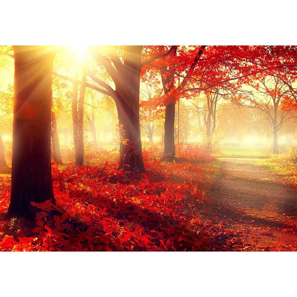 Pitaara Box Old Autumn Forest | Canvas Painting for Bedroom & Living Room | Engineered Wood Frame | 23 x 16 inch (58 x 41 cms) (B01NB1HT4V) Amazon Price History, Amazon Price Tracker
