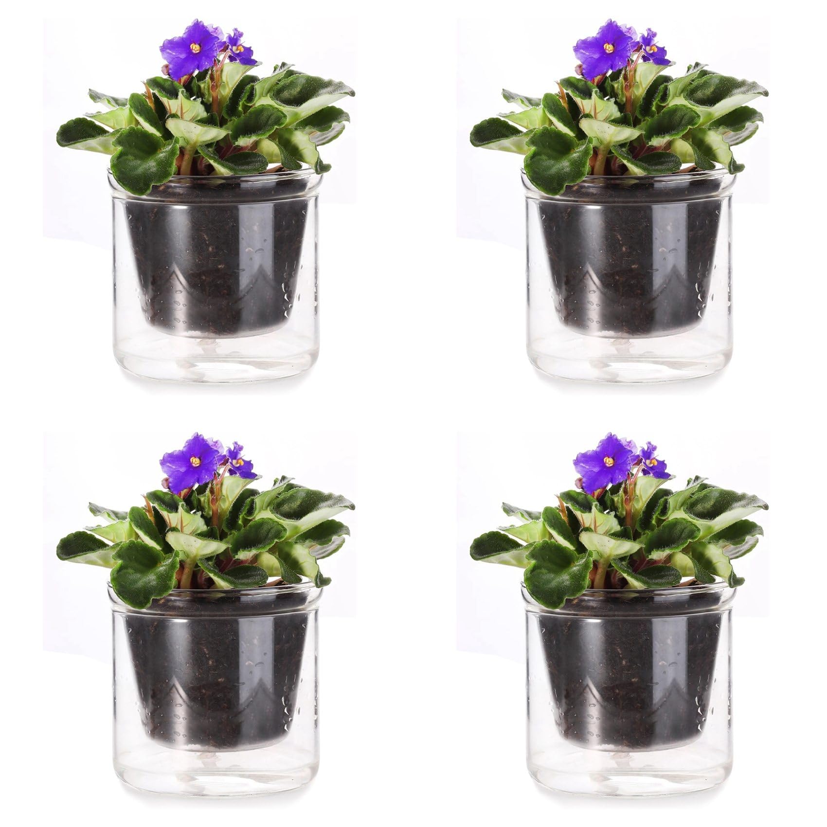 Hndhbfgrt 4pcs 4 Inch Self Watering Pot,African Violet Pot,Bottom Watering Glass Planter for Indoor Plants and Progagation