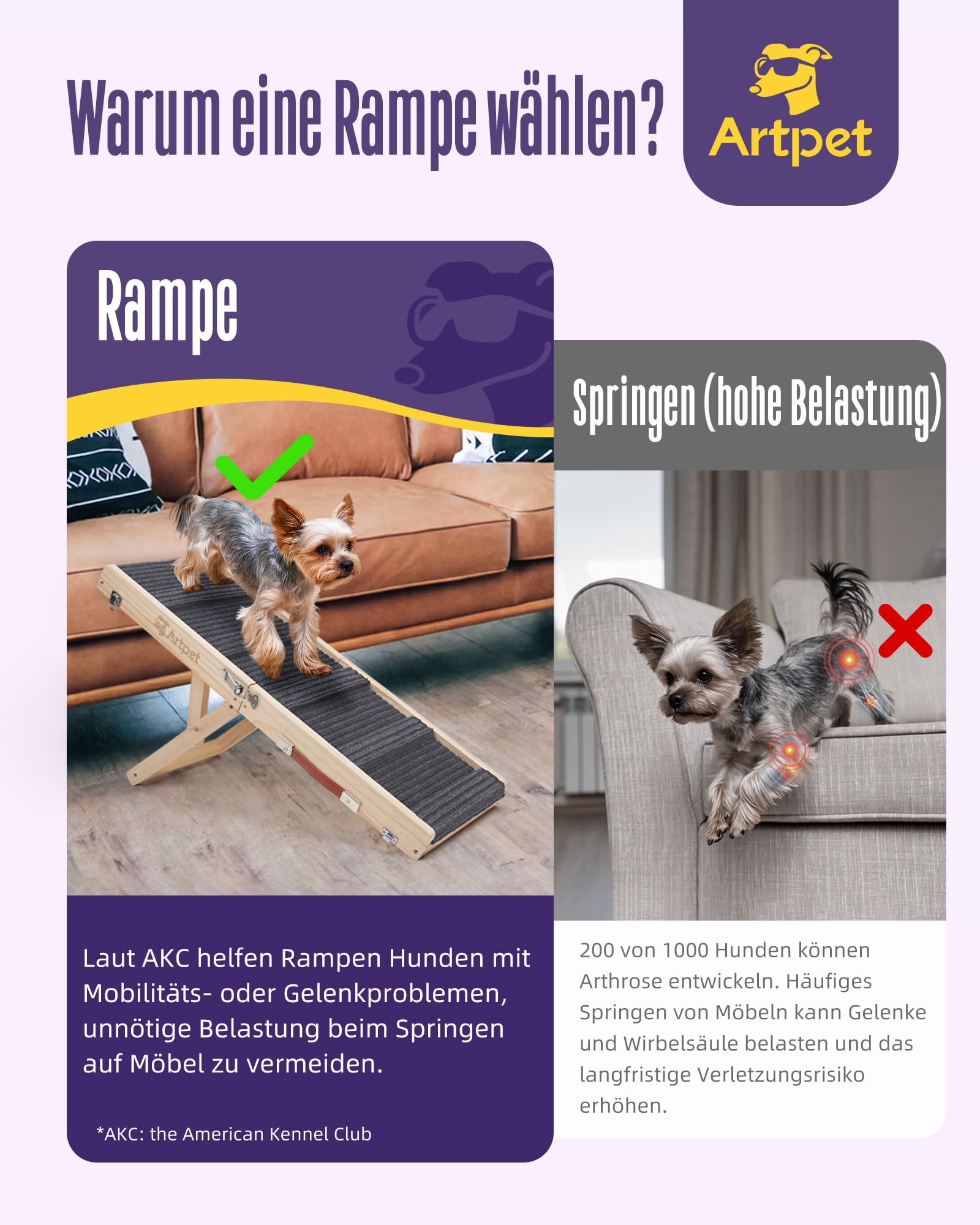 Hunderampe für Sofa Bett Klappbar Rampe Klappbar für kleine Hunde Katzen Einstellbar 45 cm, bis zu 20kg