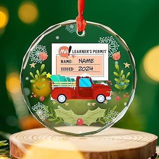 Learner's Permit Christmas Glass Ornament 2025, State New Driver License Ornaments, Gift for New Driver, Driving Ornament Gift for Friend Daughter Son, Learning to Drive Ornaments for New Drivers
