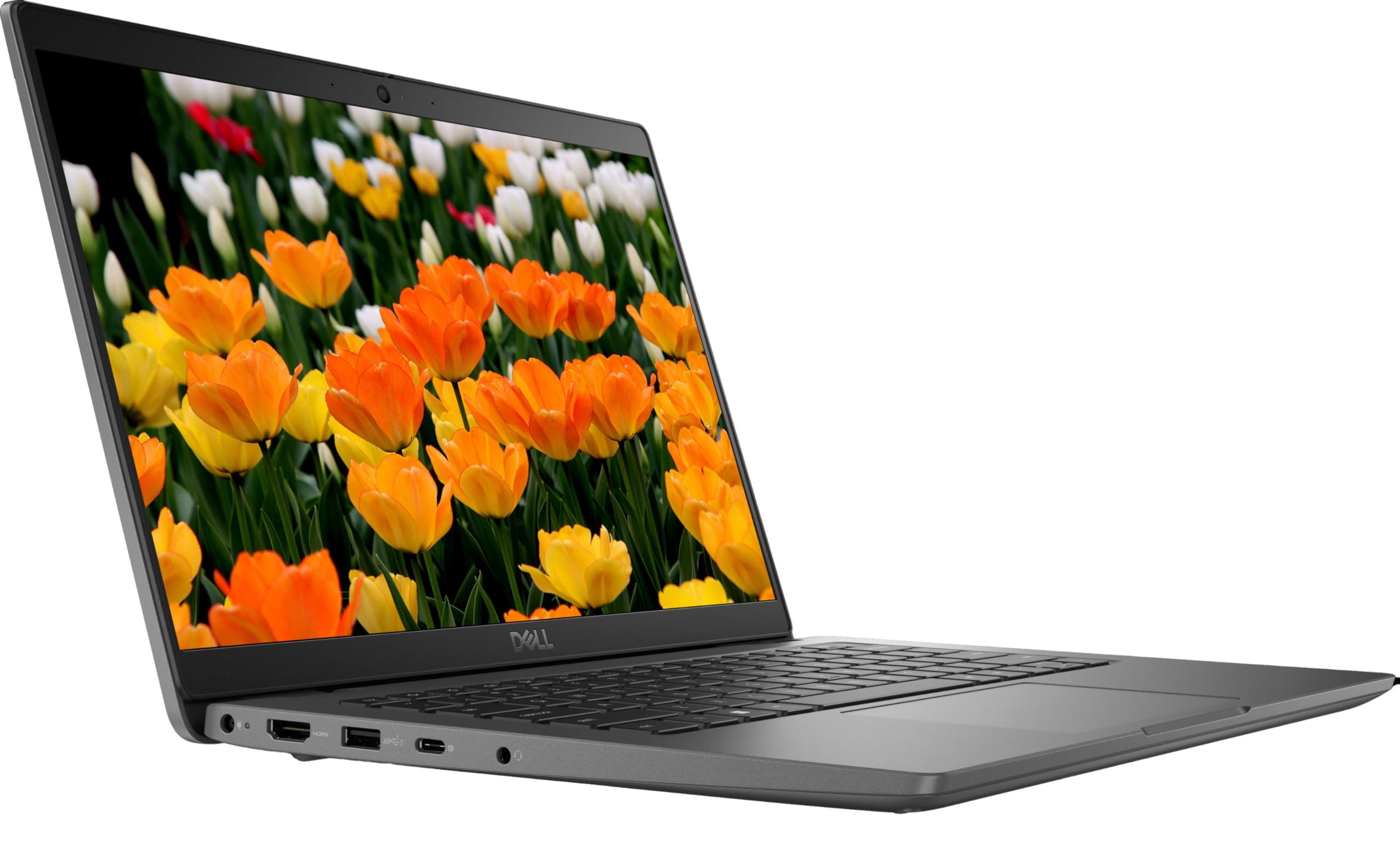 Amazon.com: Dell Latitude 3440 14
